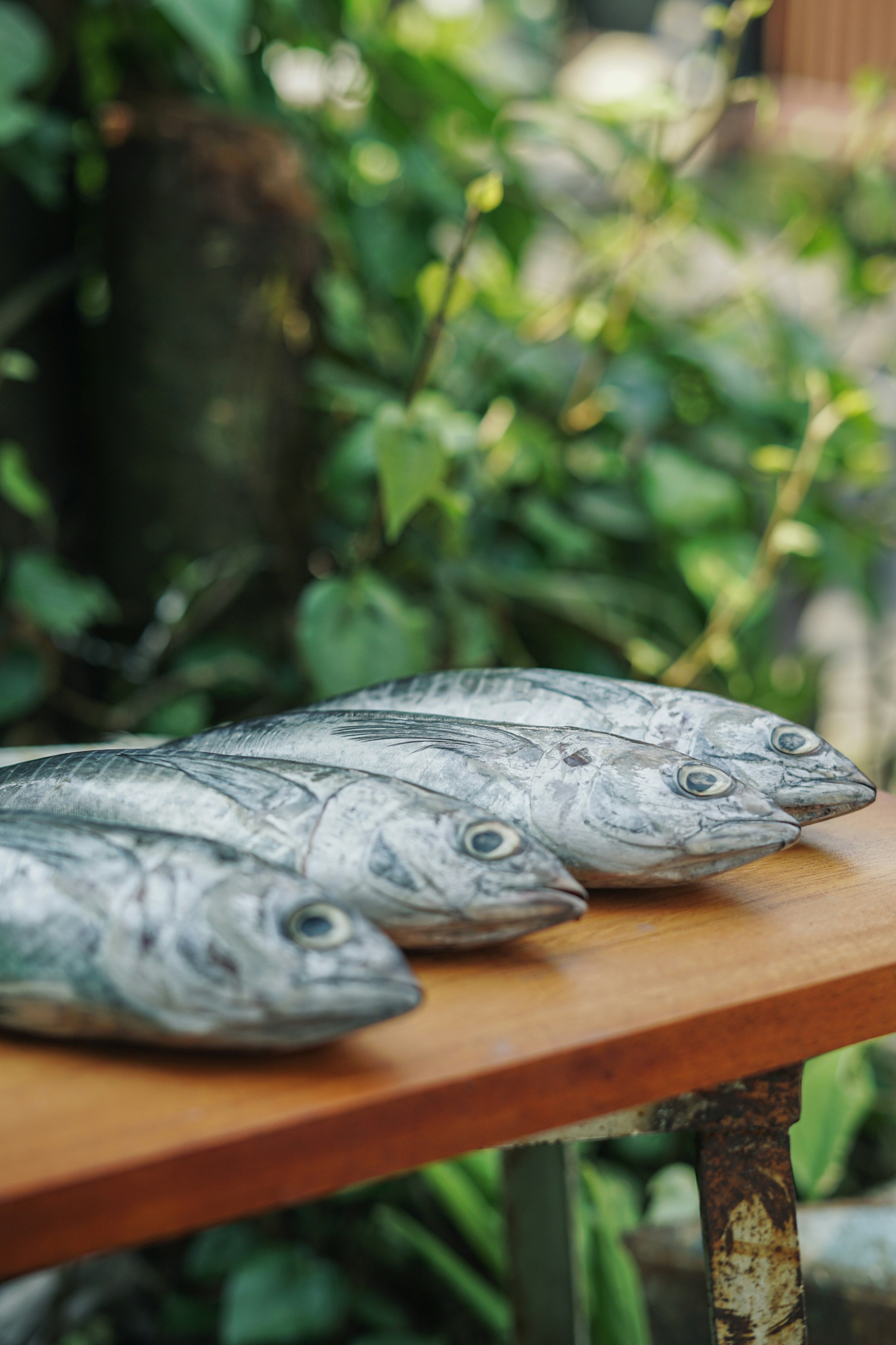 A group of fish sitting on top of a wooden table