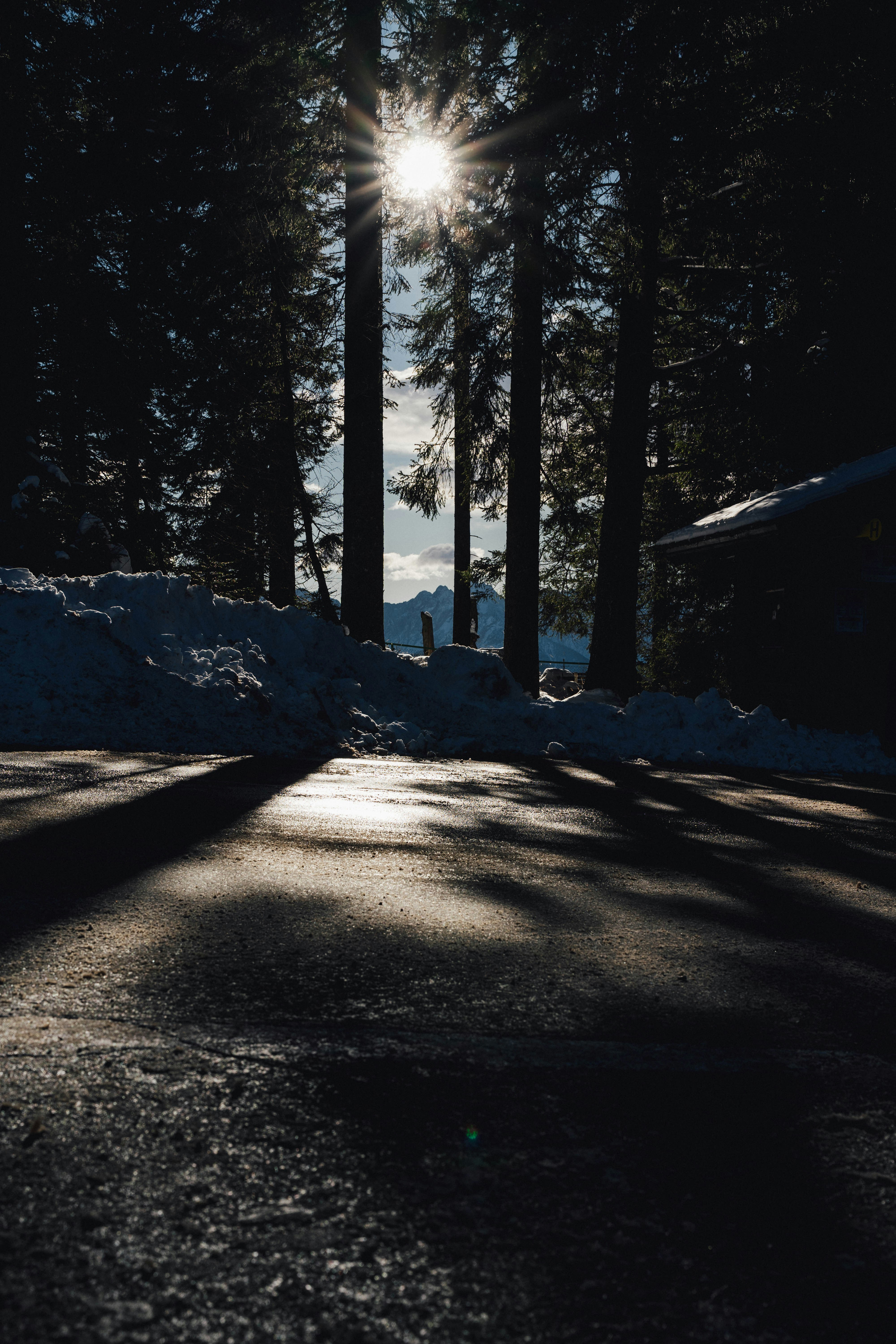 Photo by allexander_h