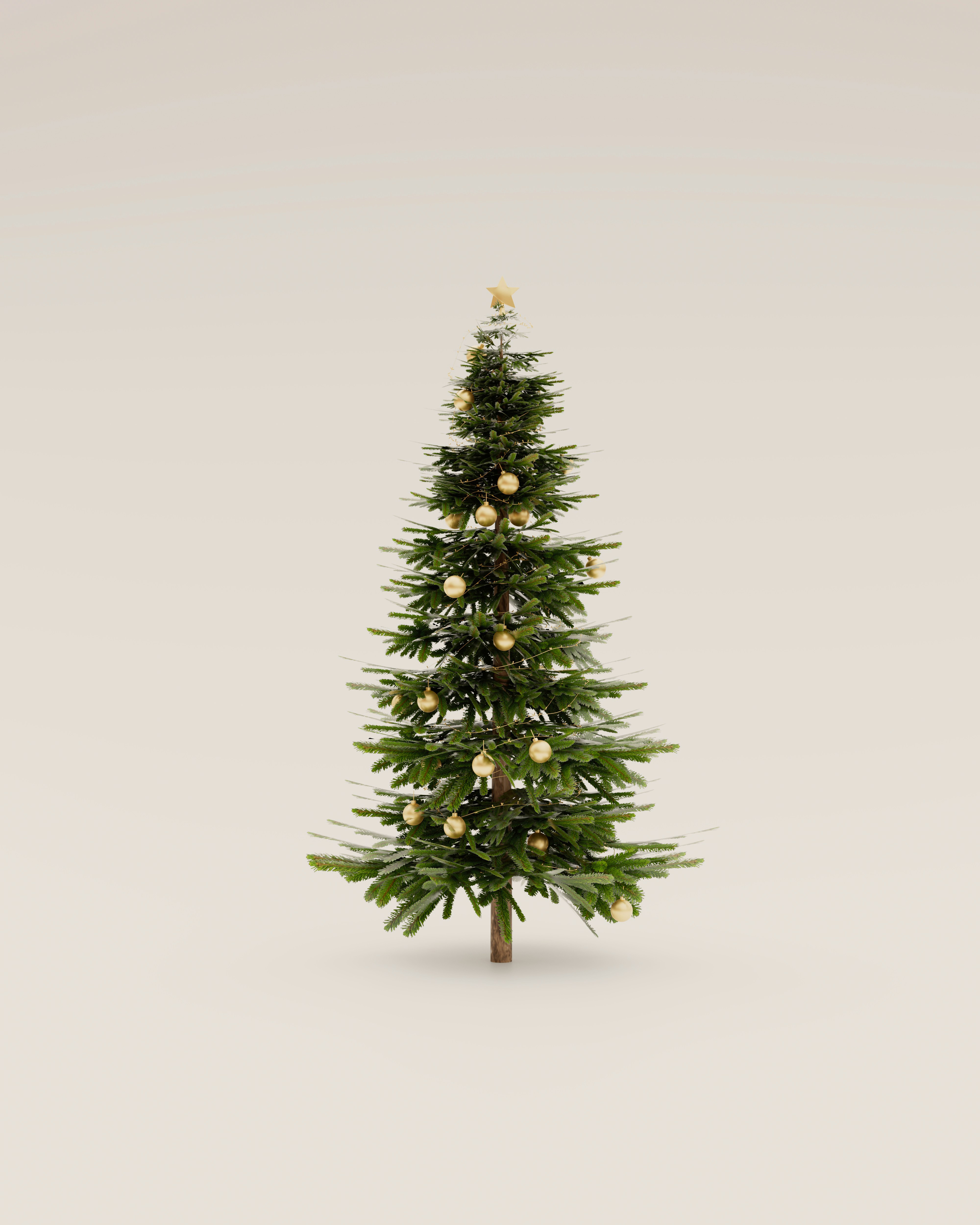 A small christmas tree with lights on it