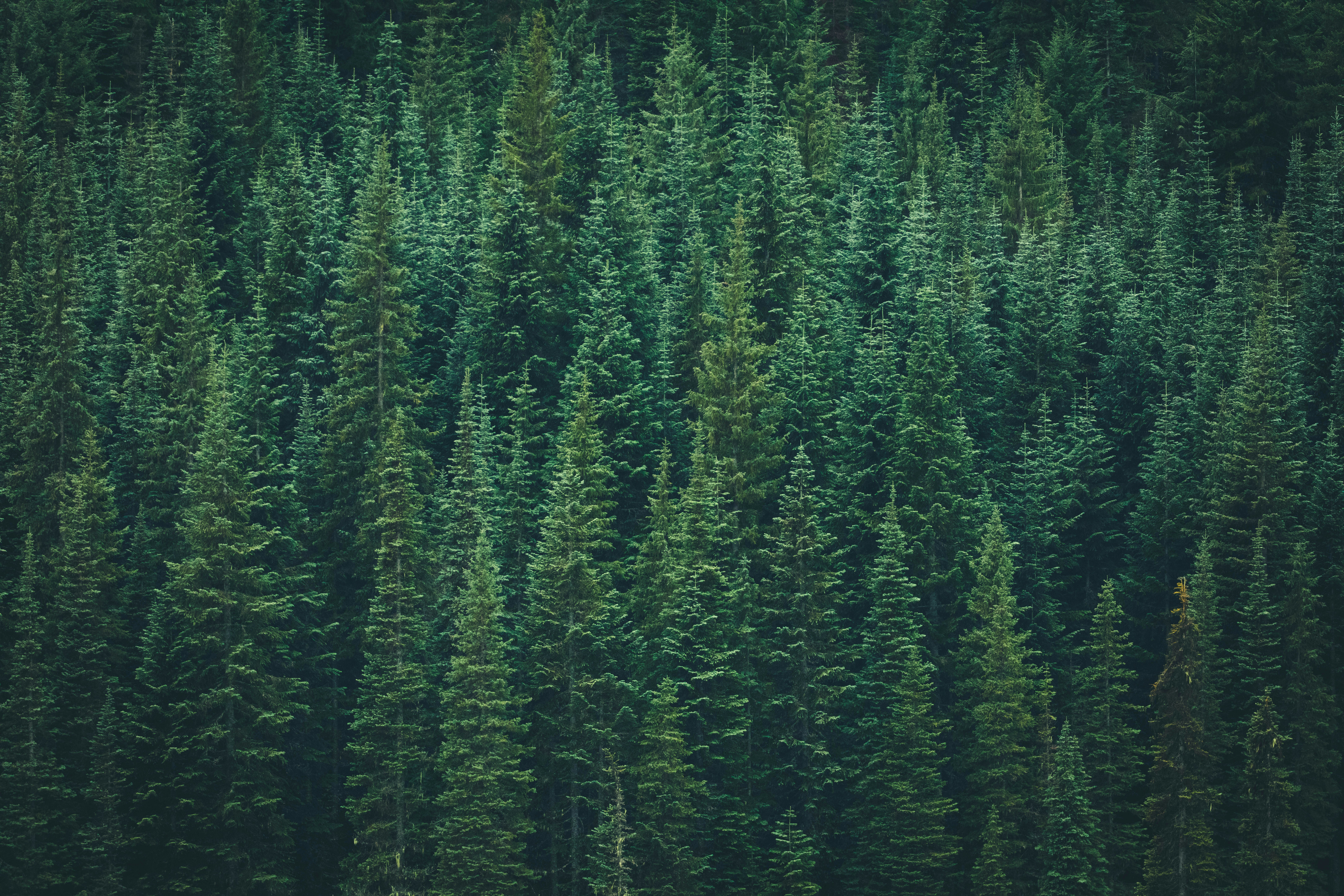 Photo by worldsbetweenlines