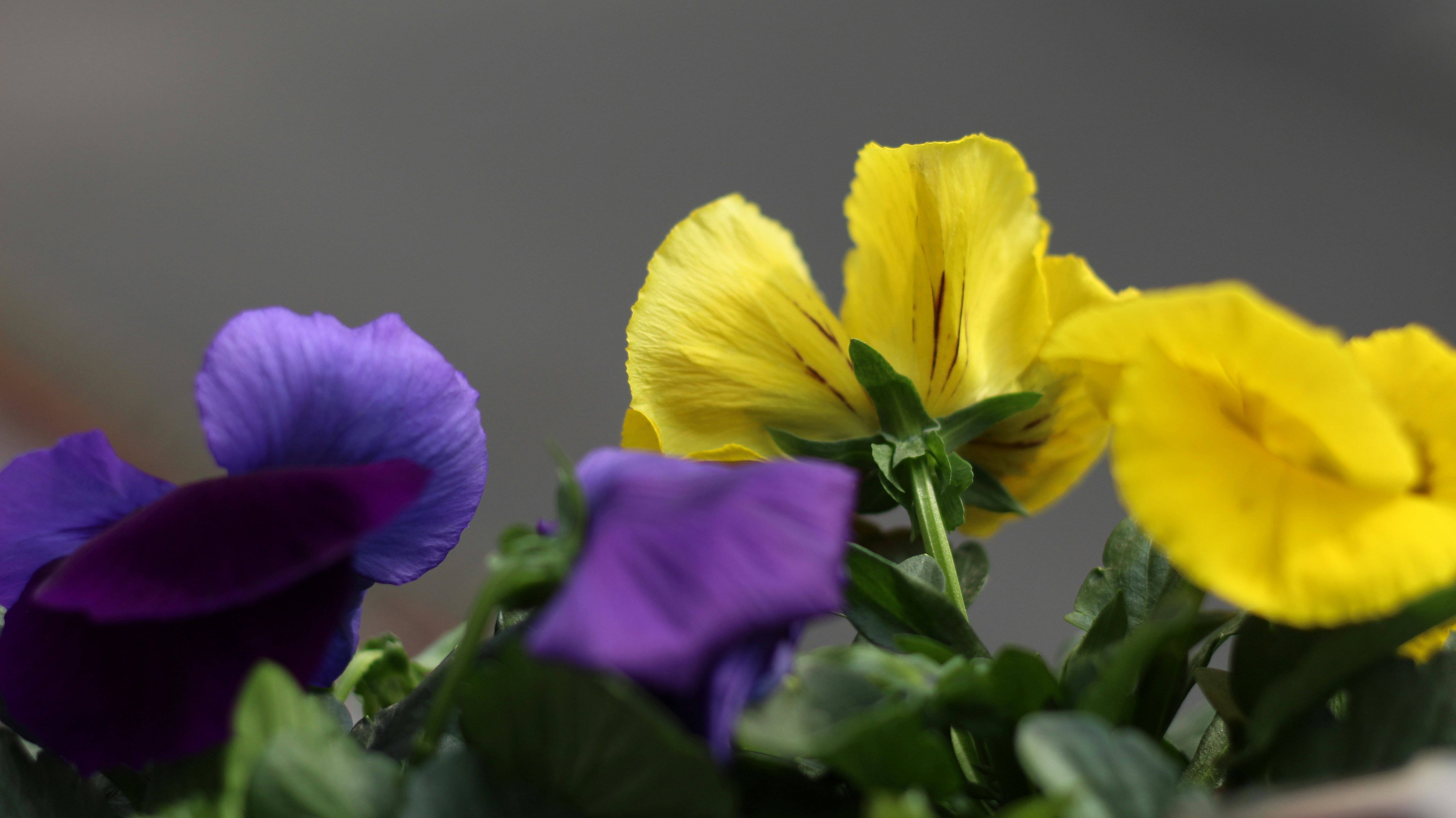 Photo by akhilprabhakar