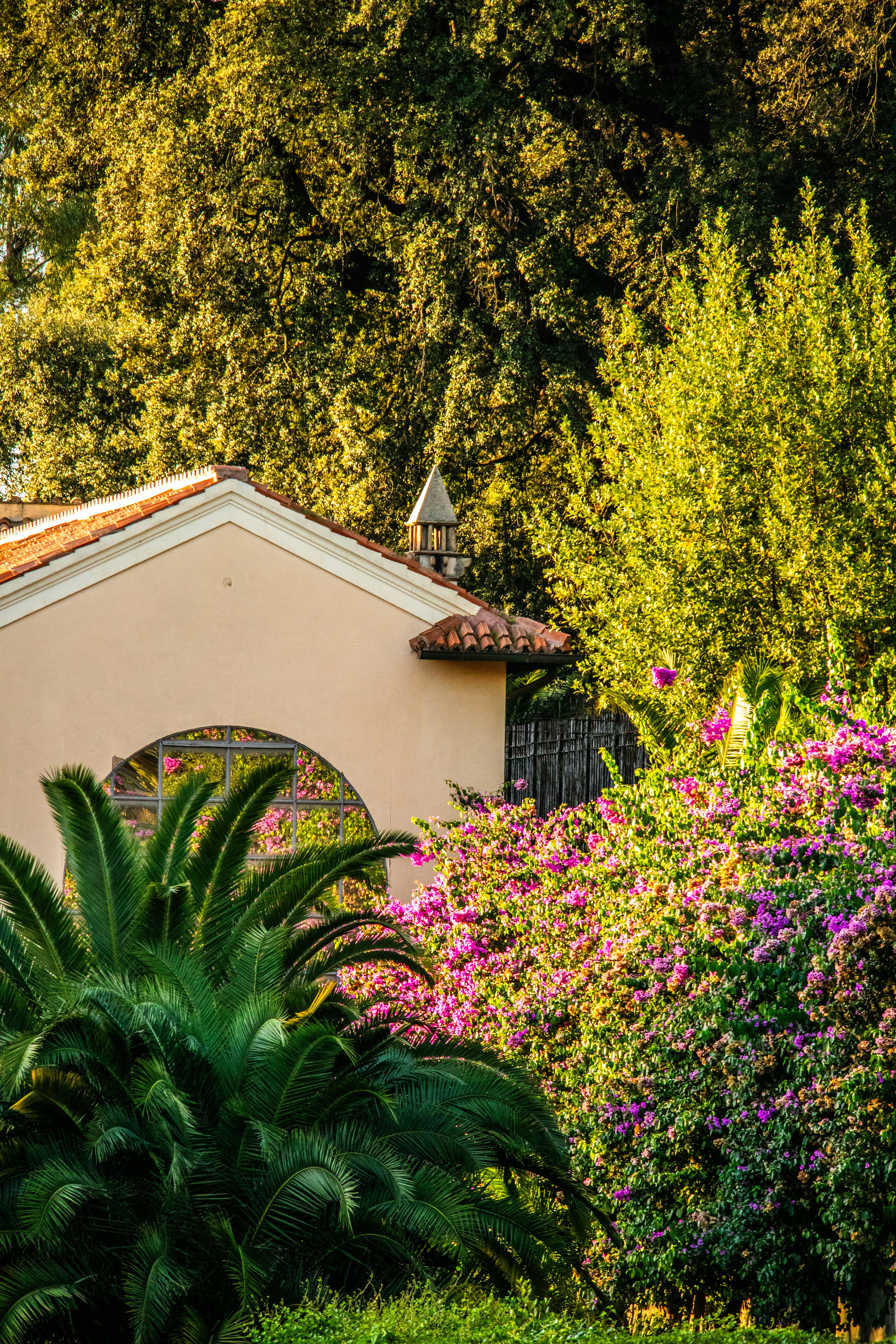 Photo by woomantsing