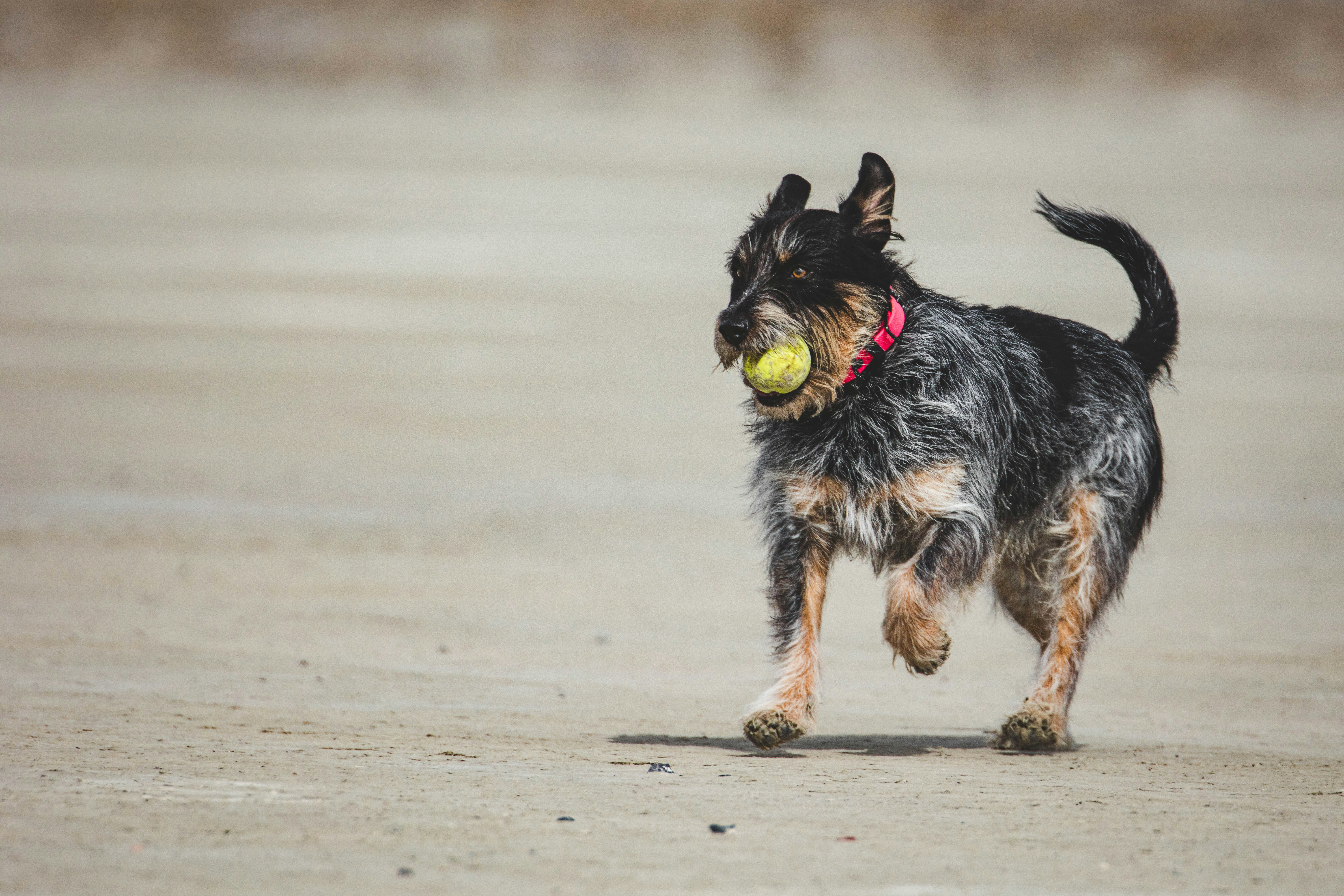 Photo by worldsbetweenlines