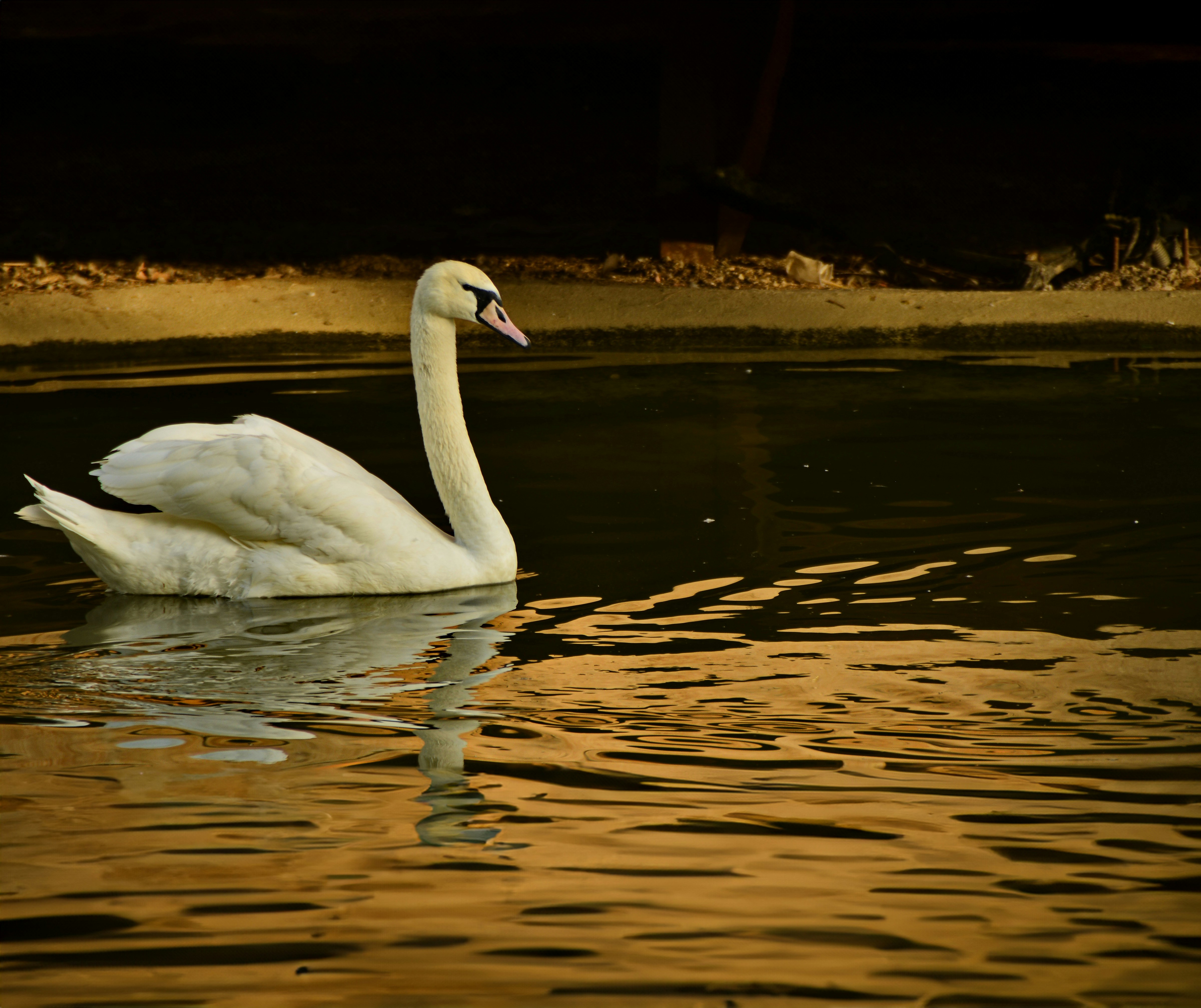 Photo by haidaralkhayat_64