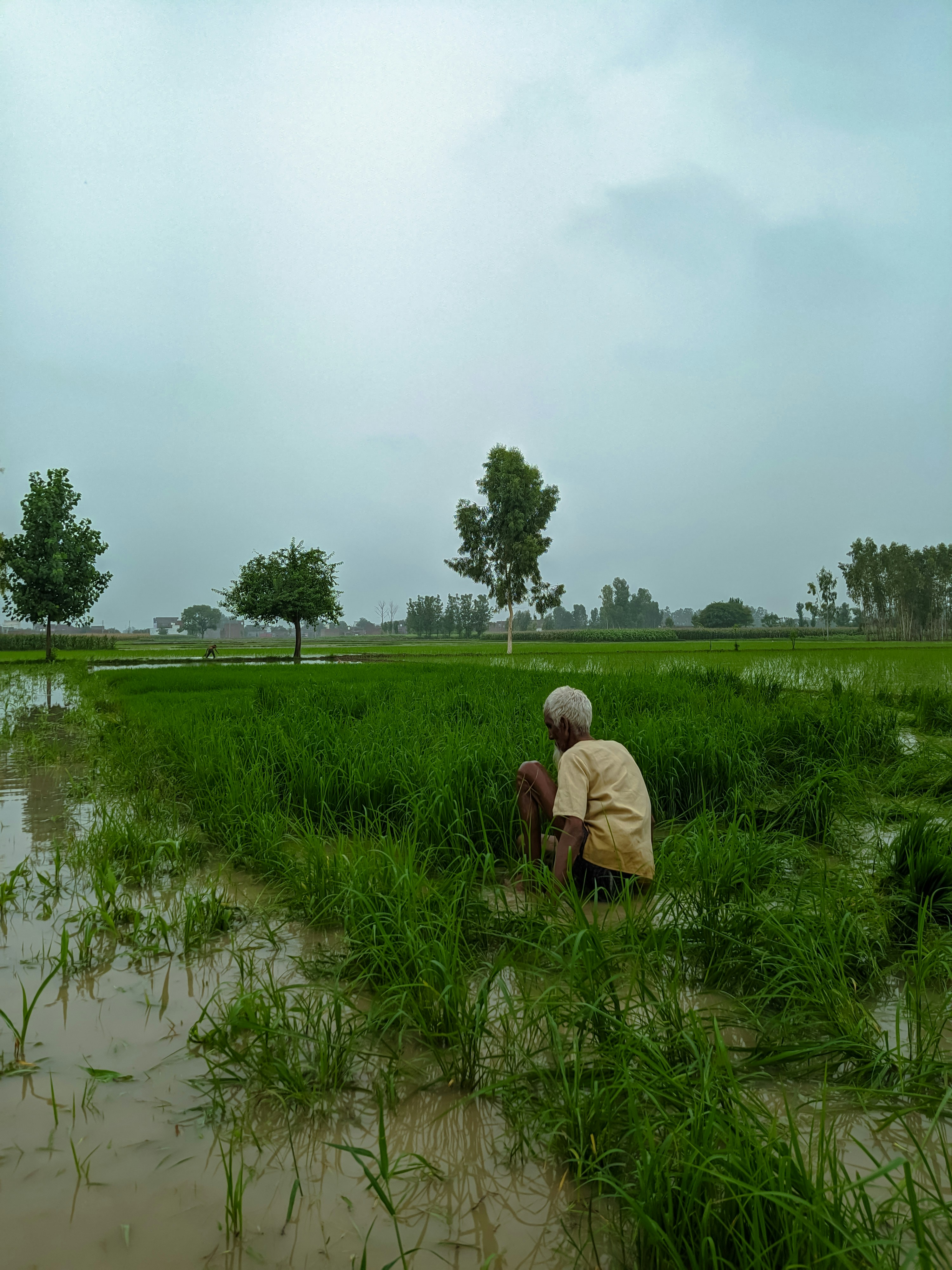 A man kneeling down in a flooded field