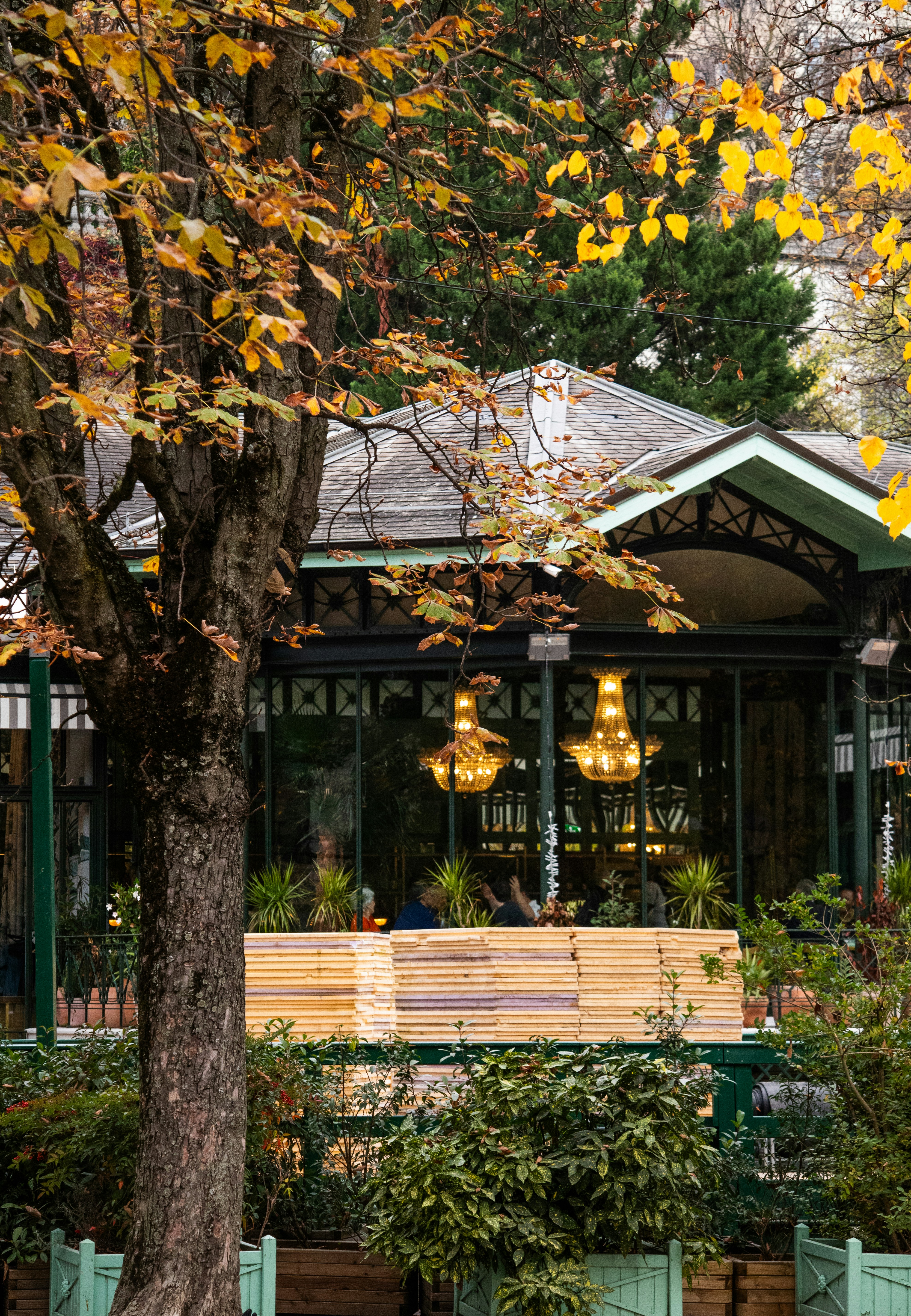 Photo by woomantsing