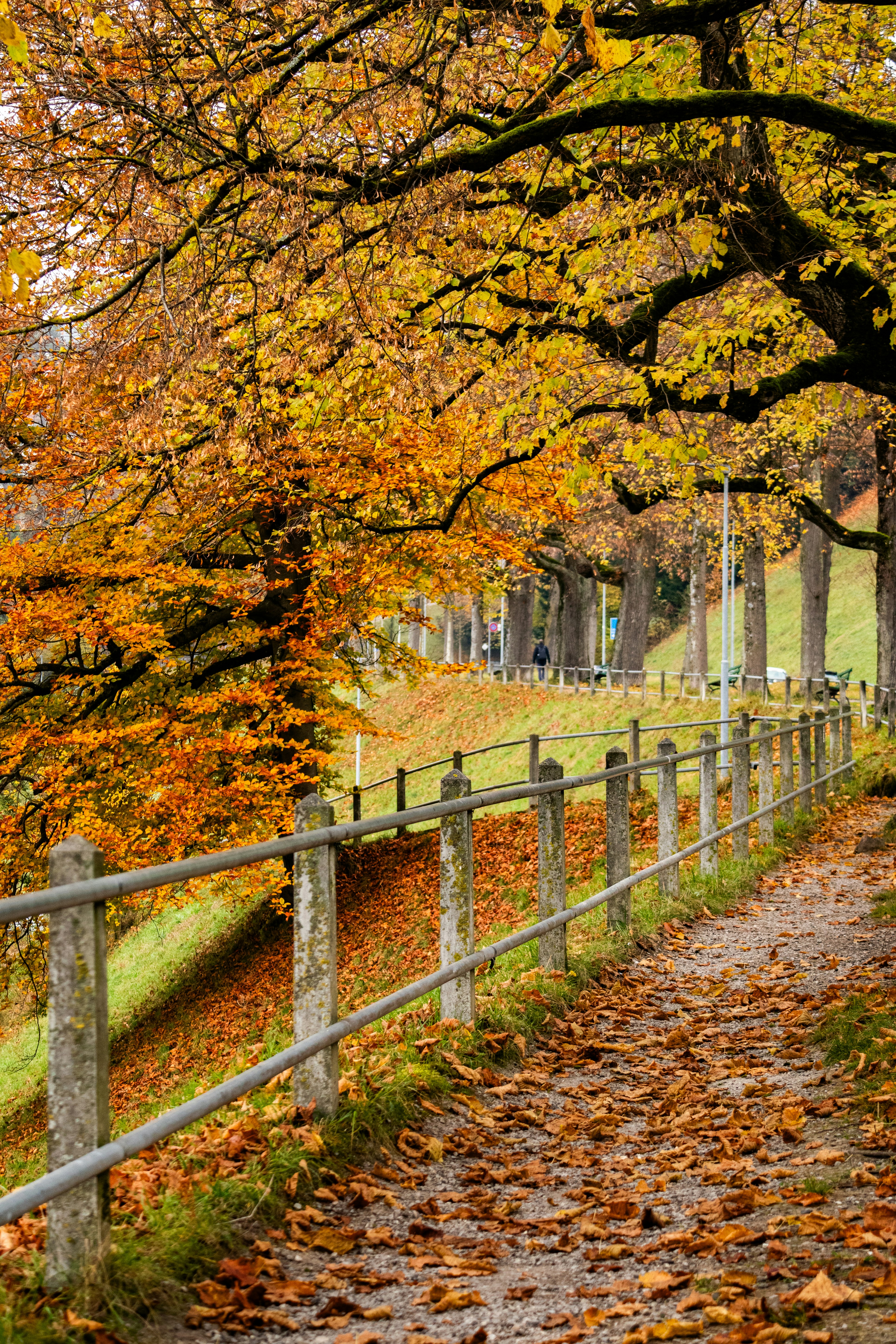 Photo by woomantsing