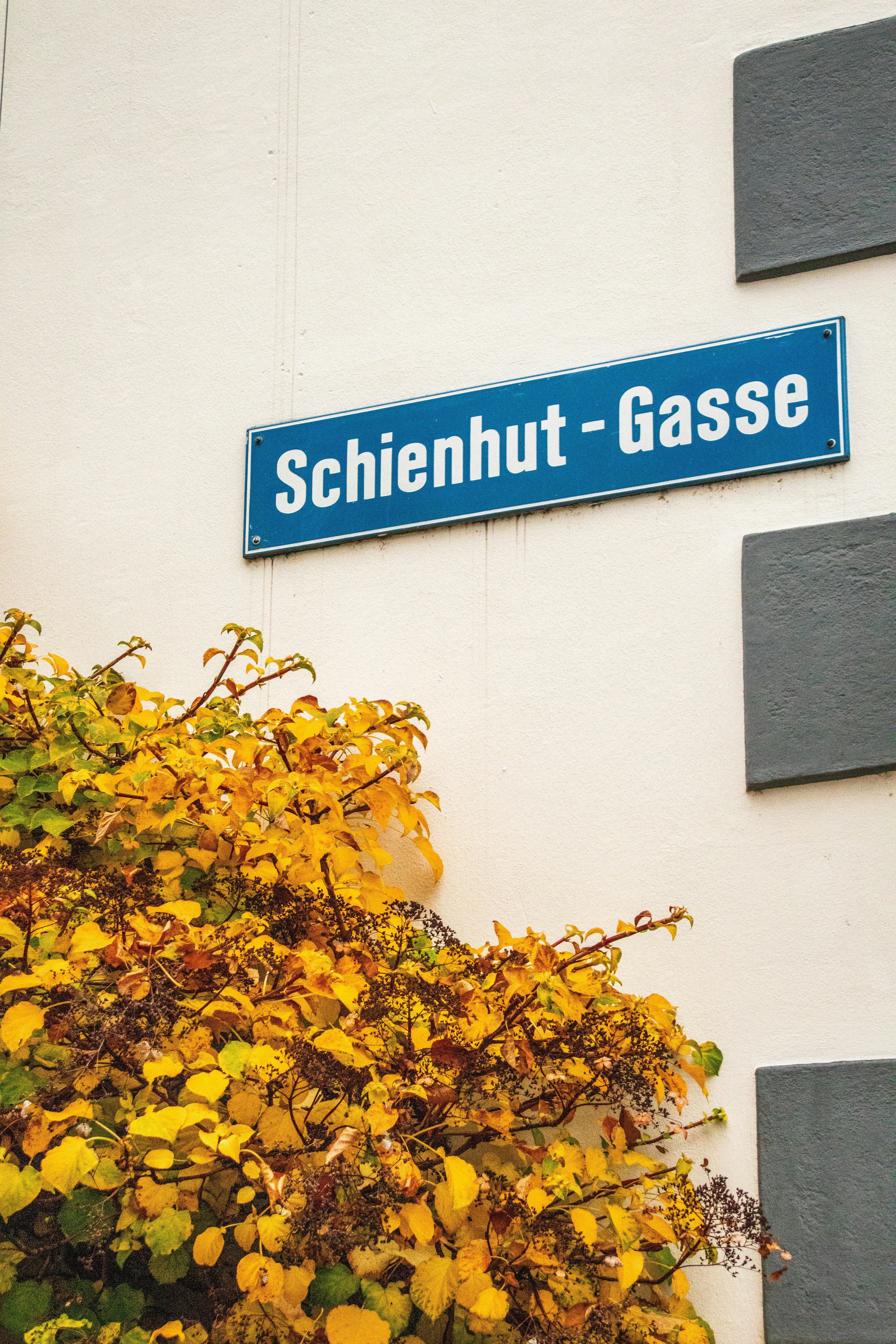 photo-1735067703994-1252dc5357f1?ixid=M3wxMjA3fDB8MXxzZWFyY2h8MTJ8fGdlbWVpbnNhbWUlMjB1bnRlcm5laG11bmdlbiUyMGFzY2hhZmZlbmJ1cmd8ZW58MHx8fHwxNzU2Mzg2MDcxfDA\u0026ixlib=rb-4.1.0