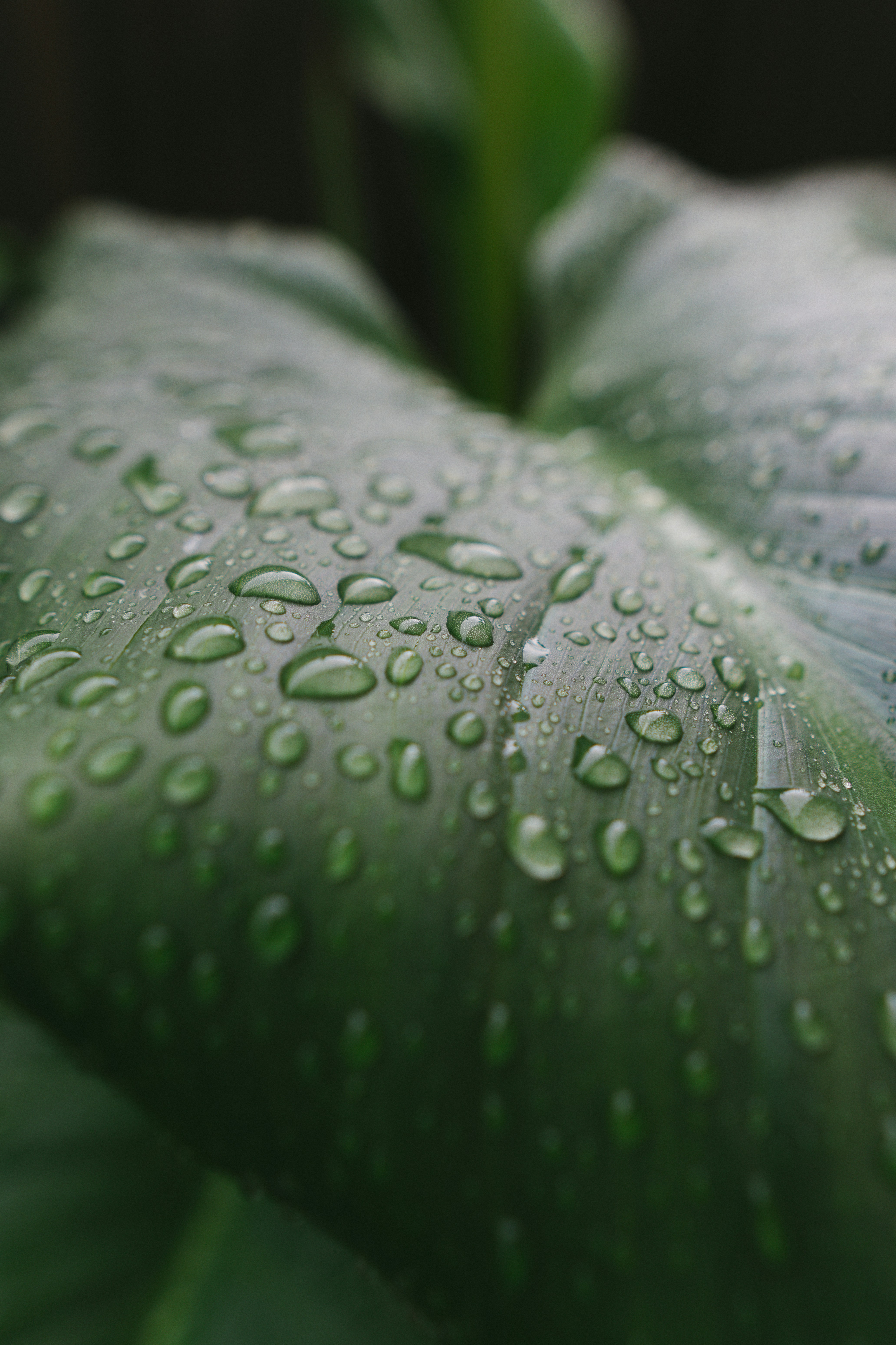 Photo by christopherstites