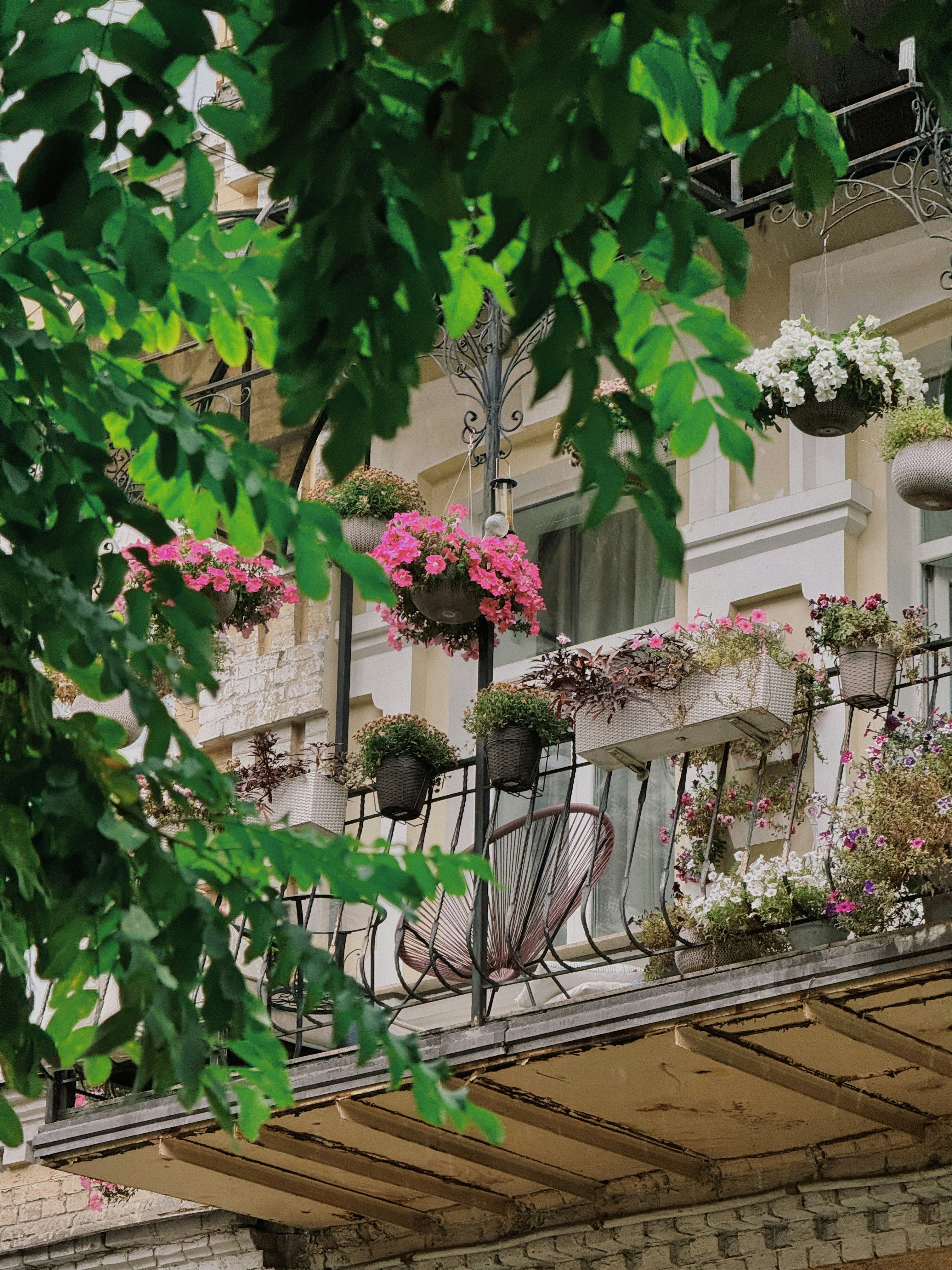 A vibrant balcony garden filled with potted plants and flowers.