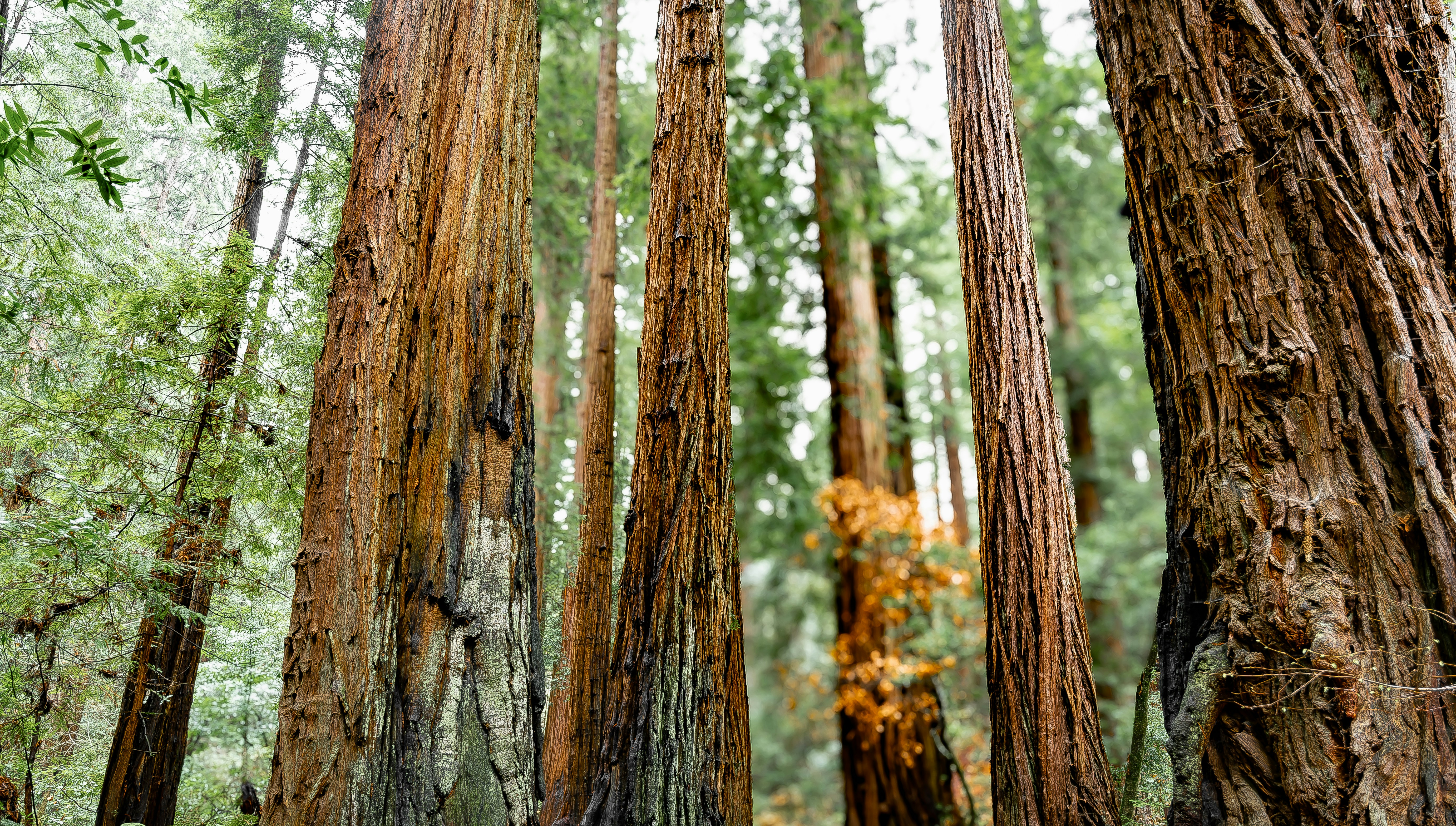 Photo by ghostdogg187