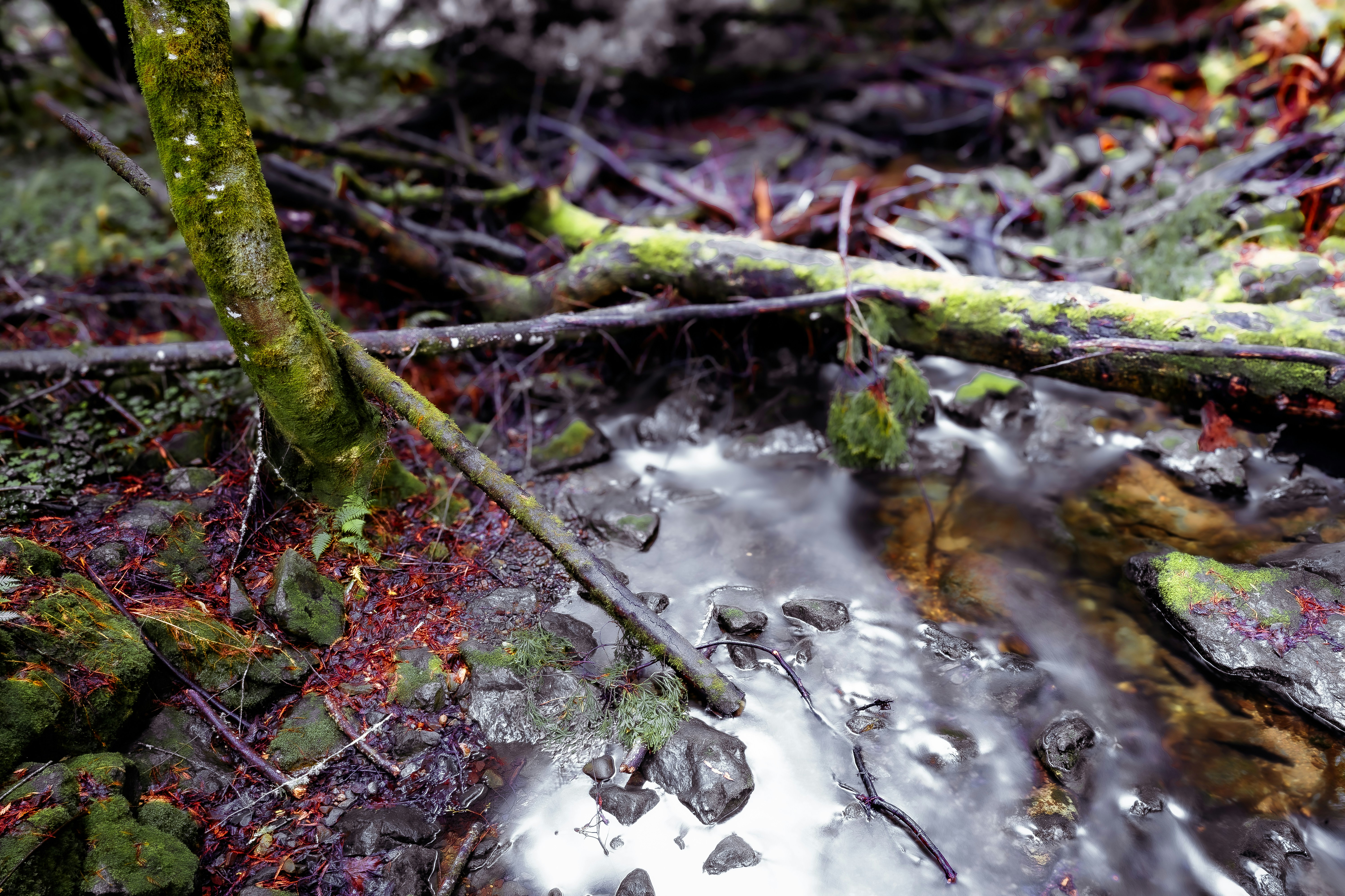 Photo by ghostdogg187