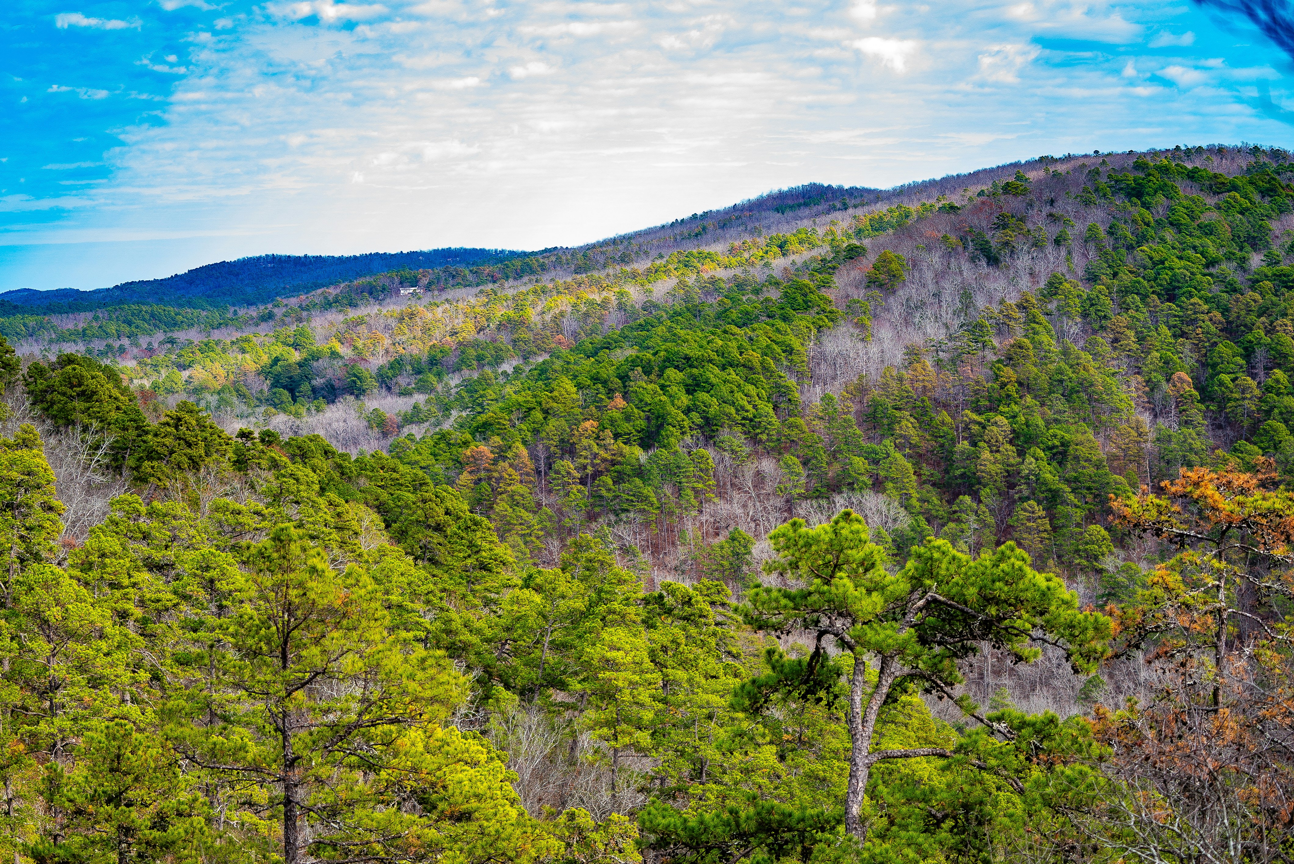 Photo by giginkrishnan