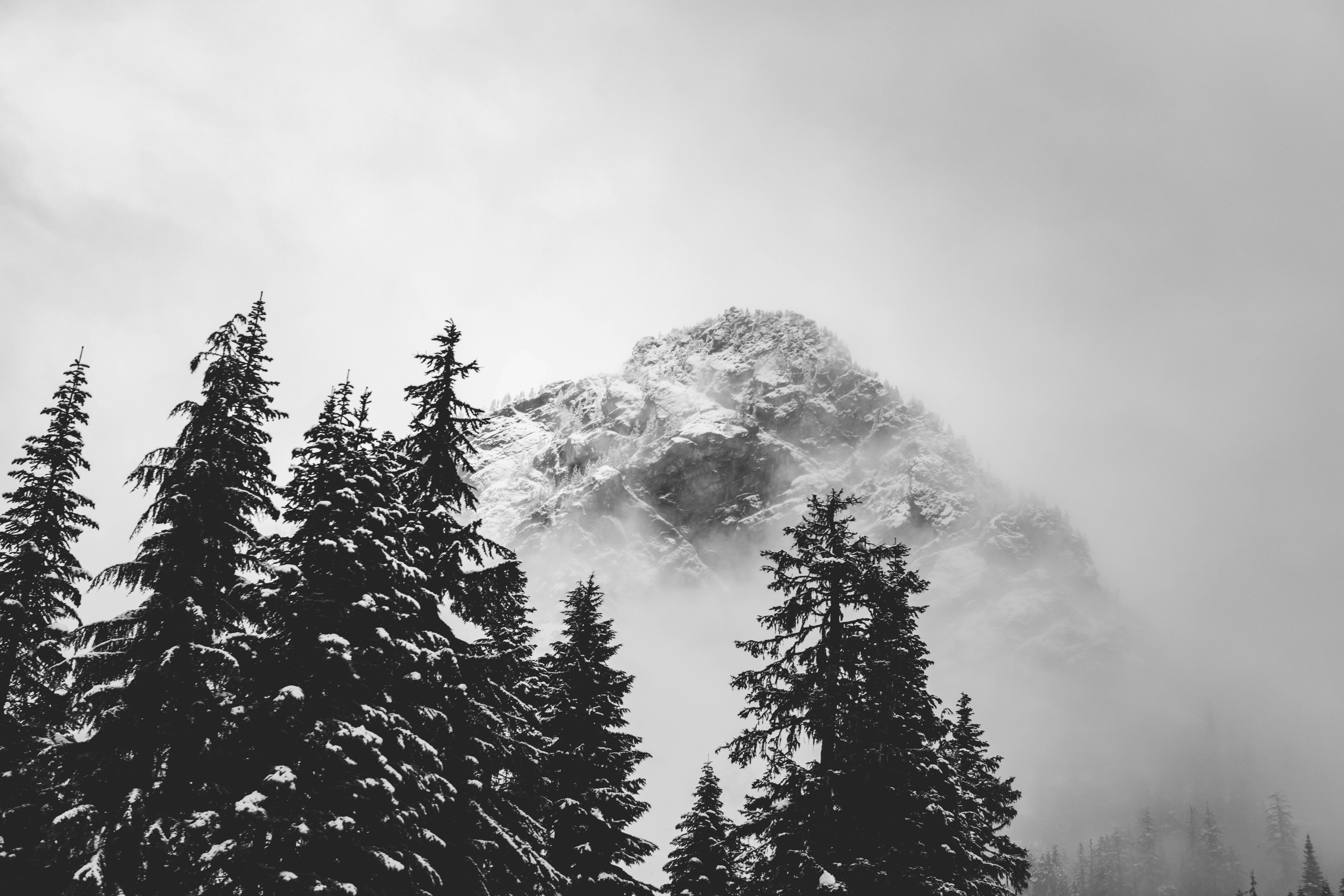 Photo by worldsbetweenlines