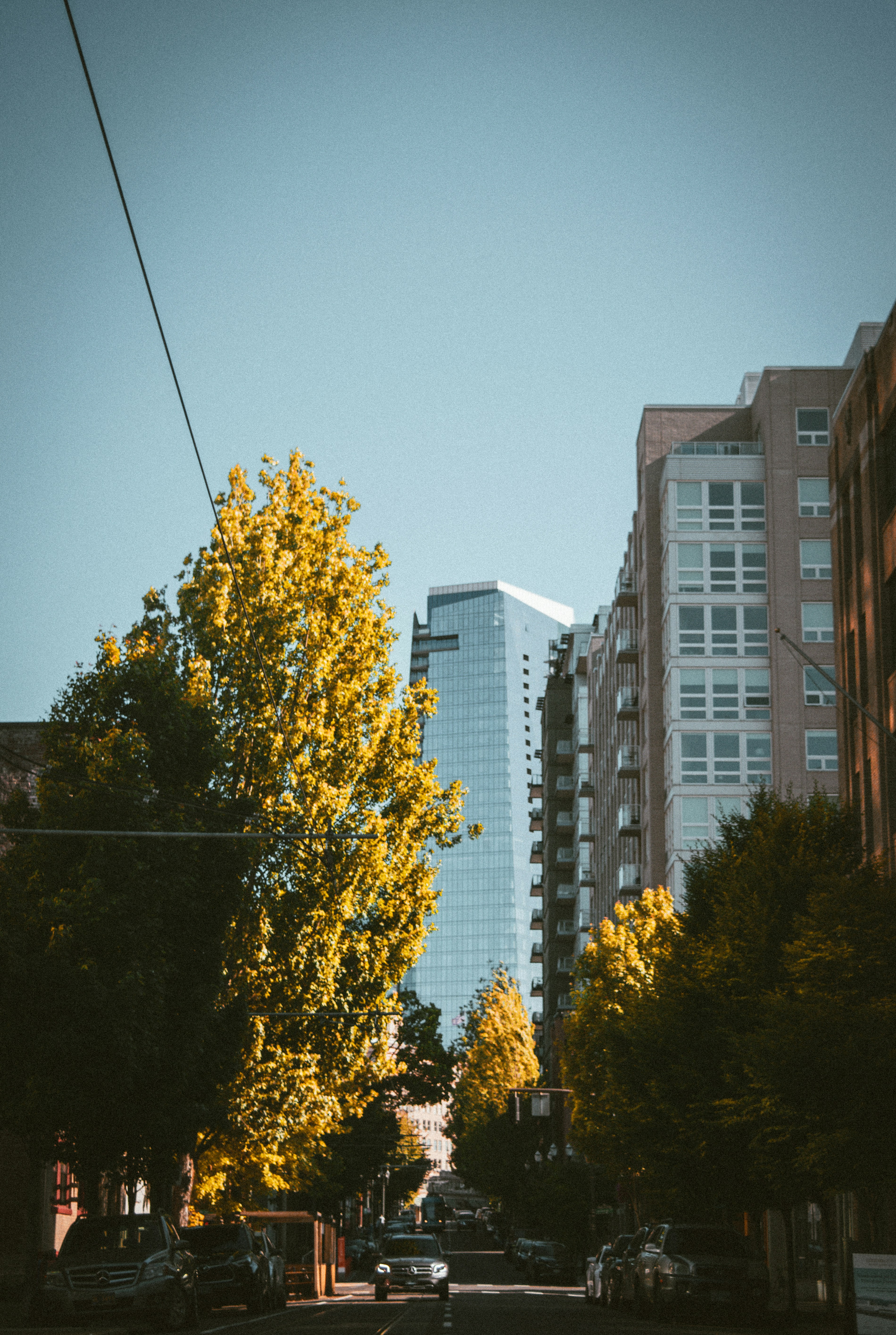 Photo by marshalliden124