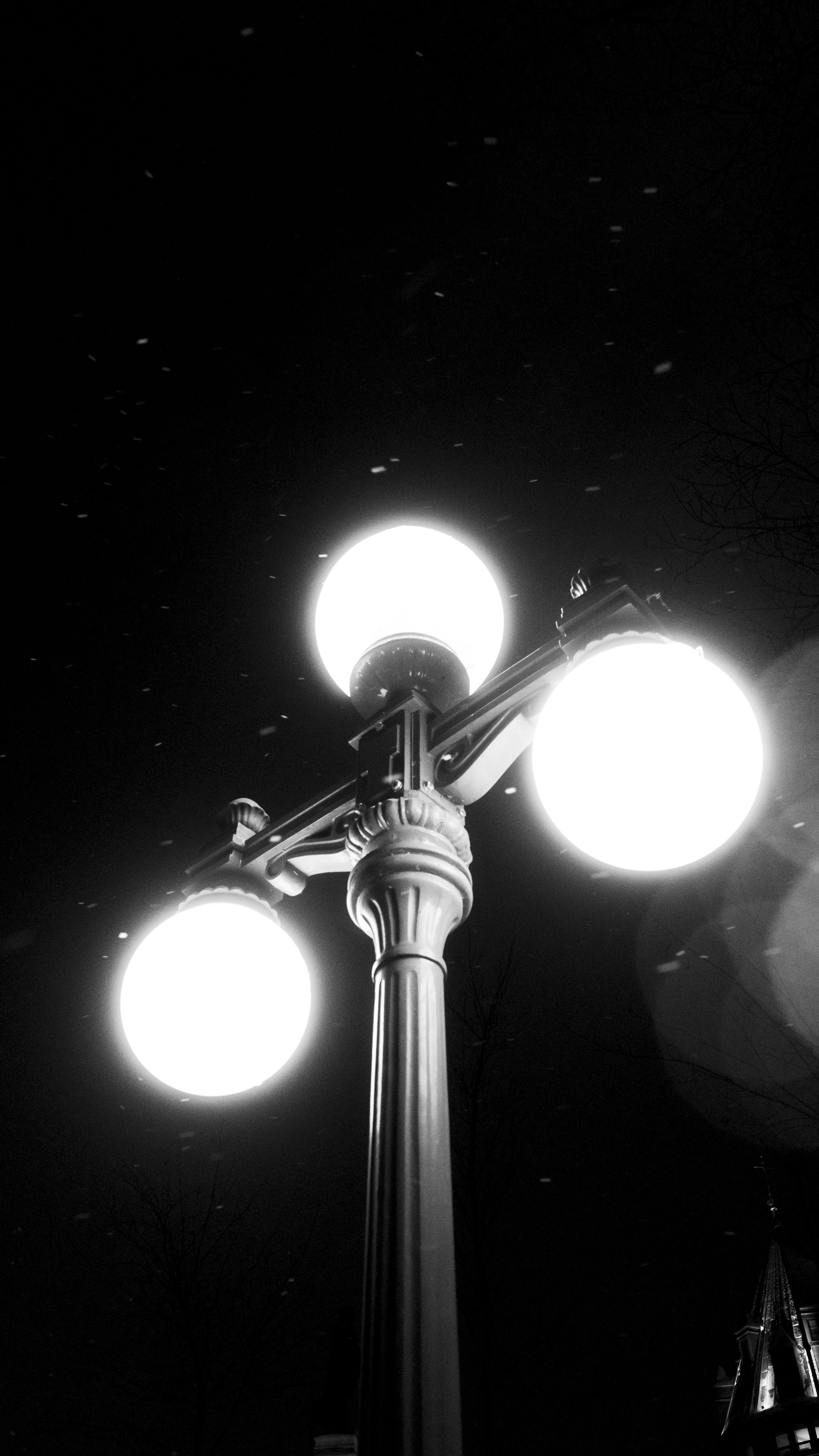 Photo by dougschneiders