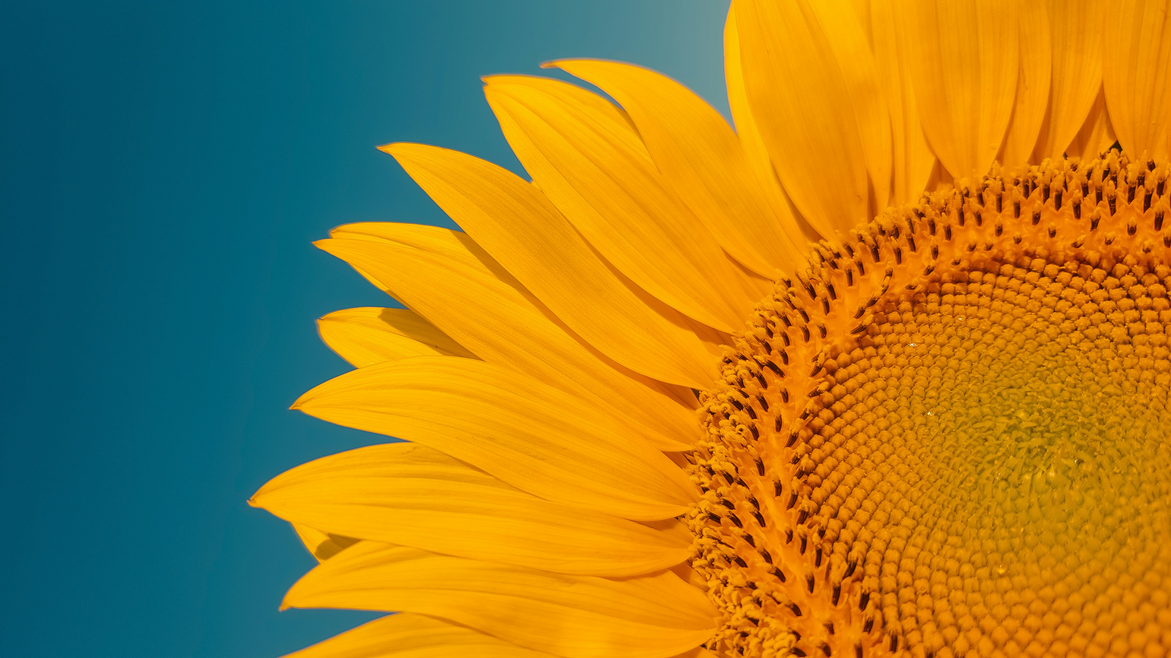 Photo by dariobonzi39