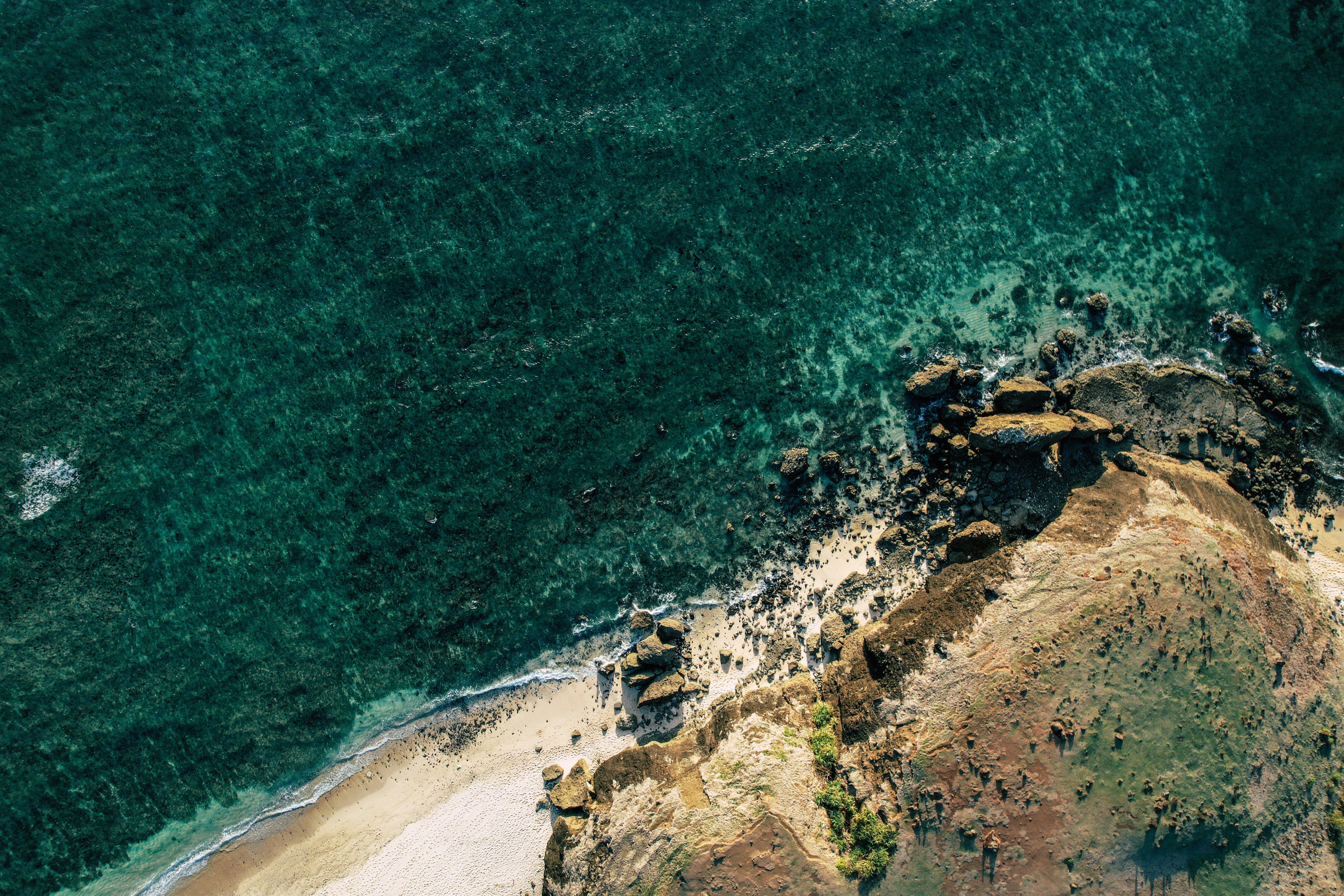 Una vista de pájaro de una playa y el océano