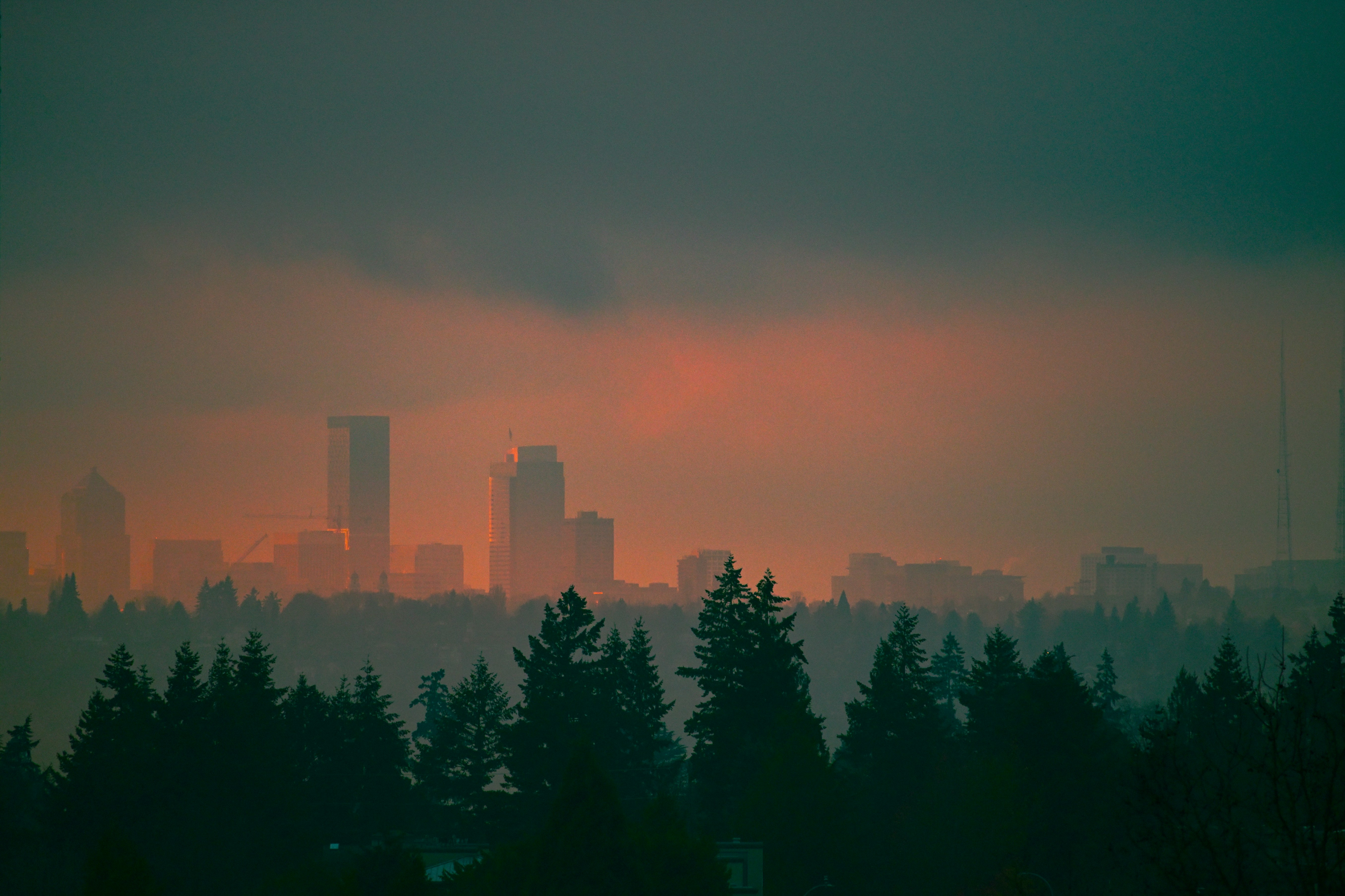 A view of a city from a distance, 