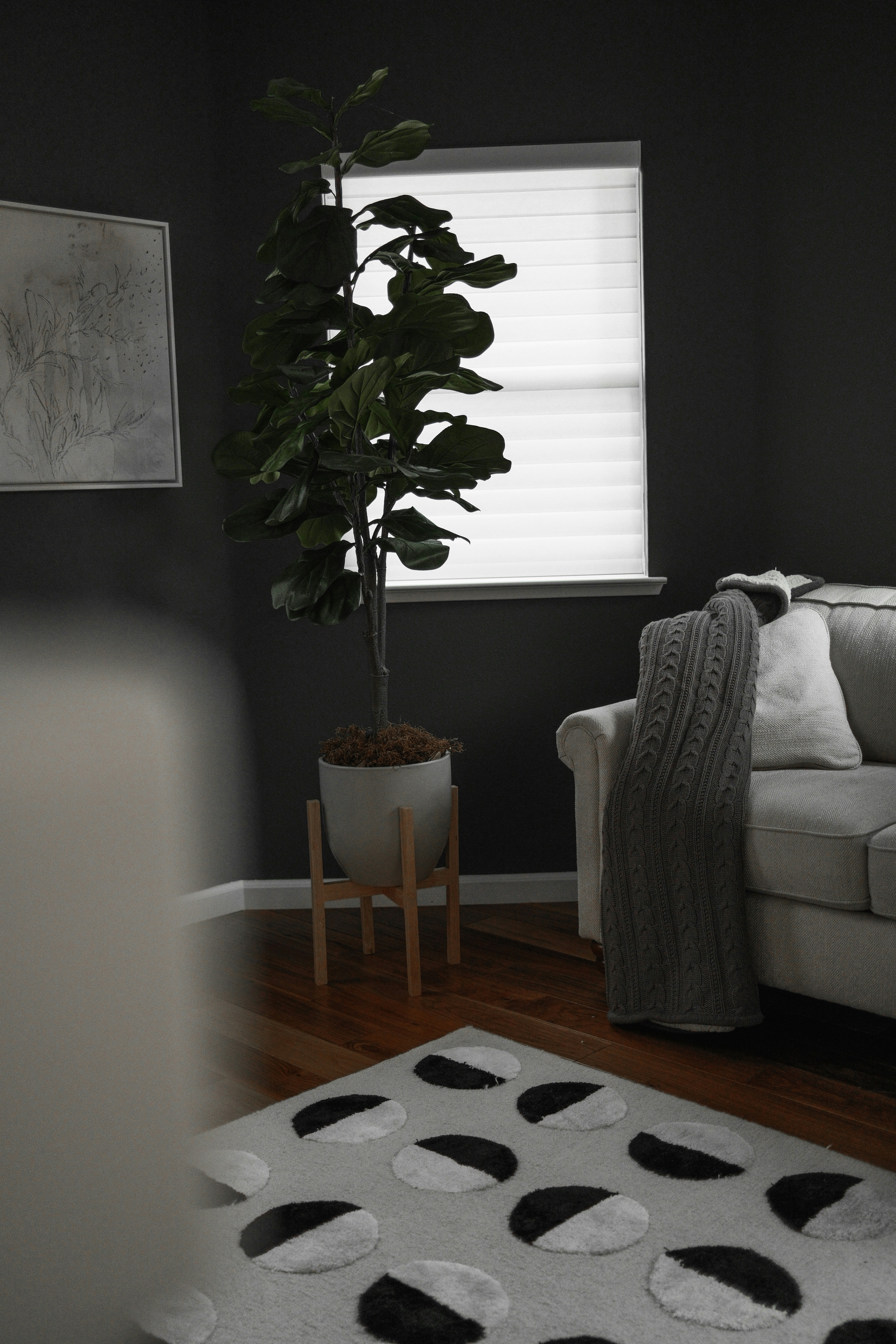 Photo by kalaniparker