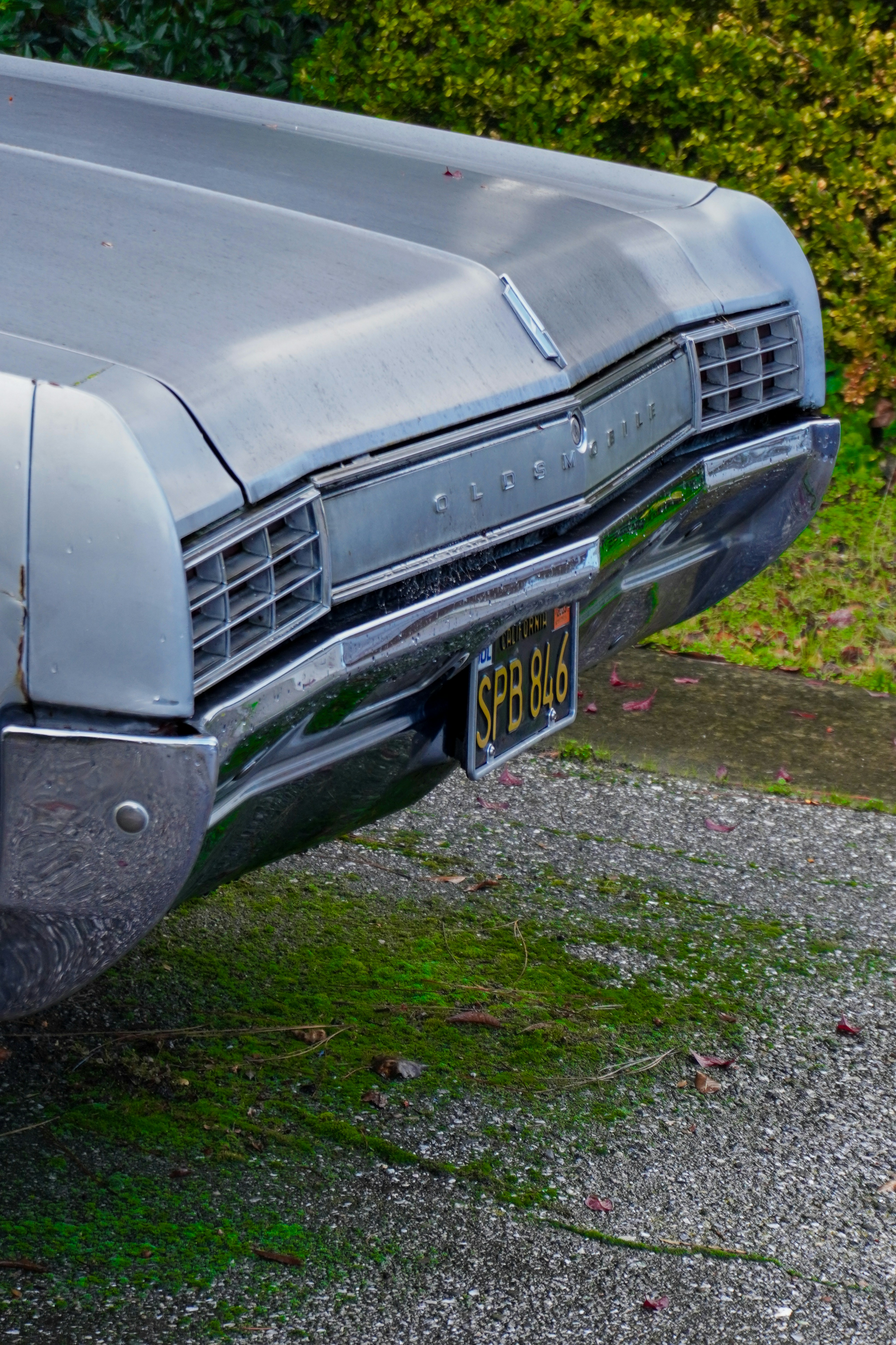 Photo by naveenketterer