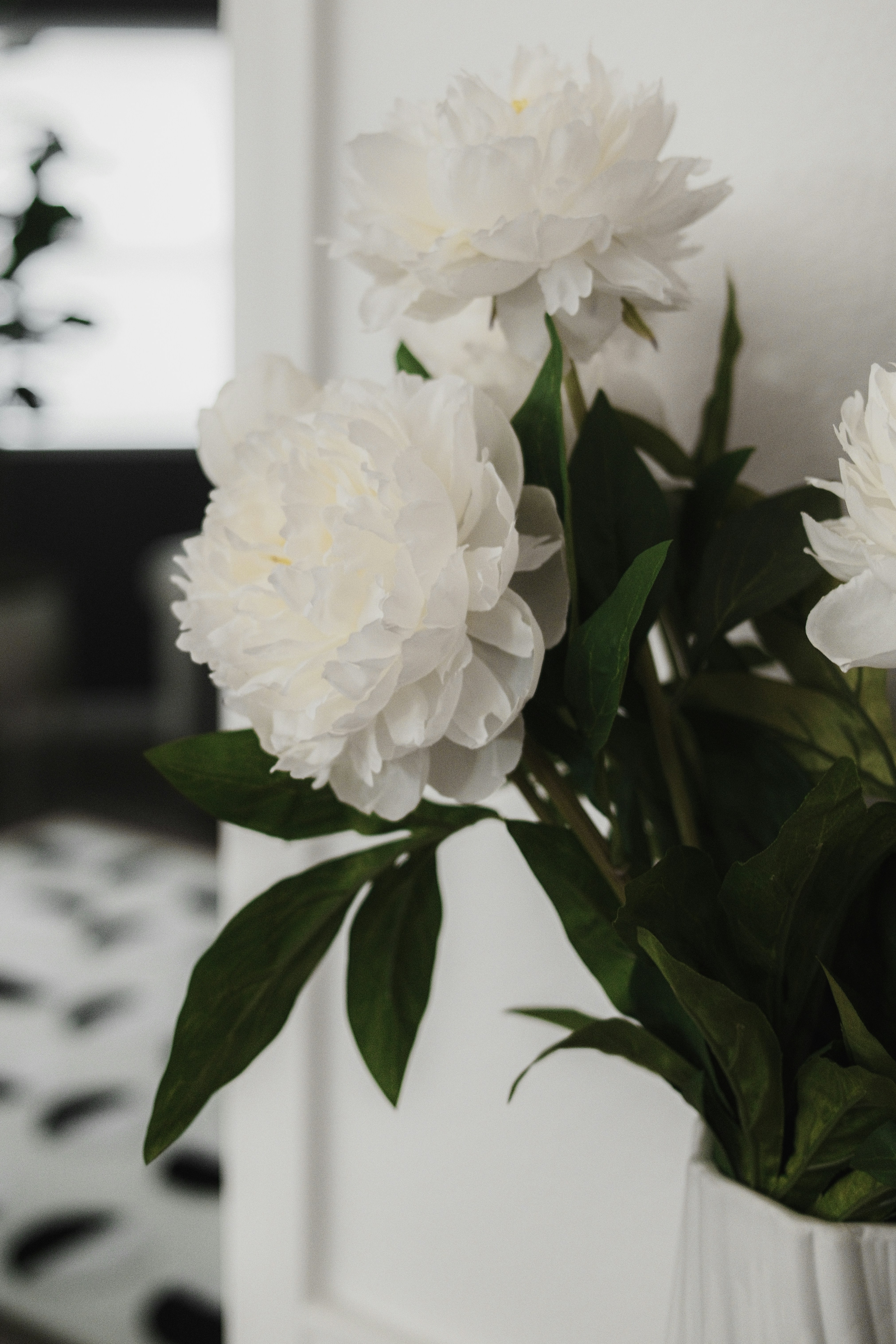 Photo by kalaniparker