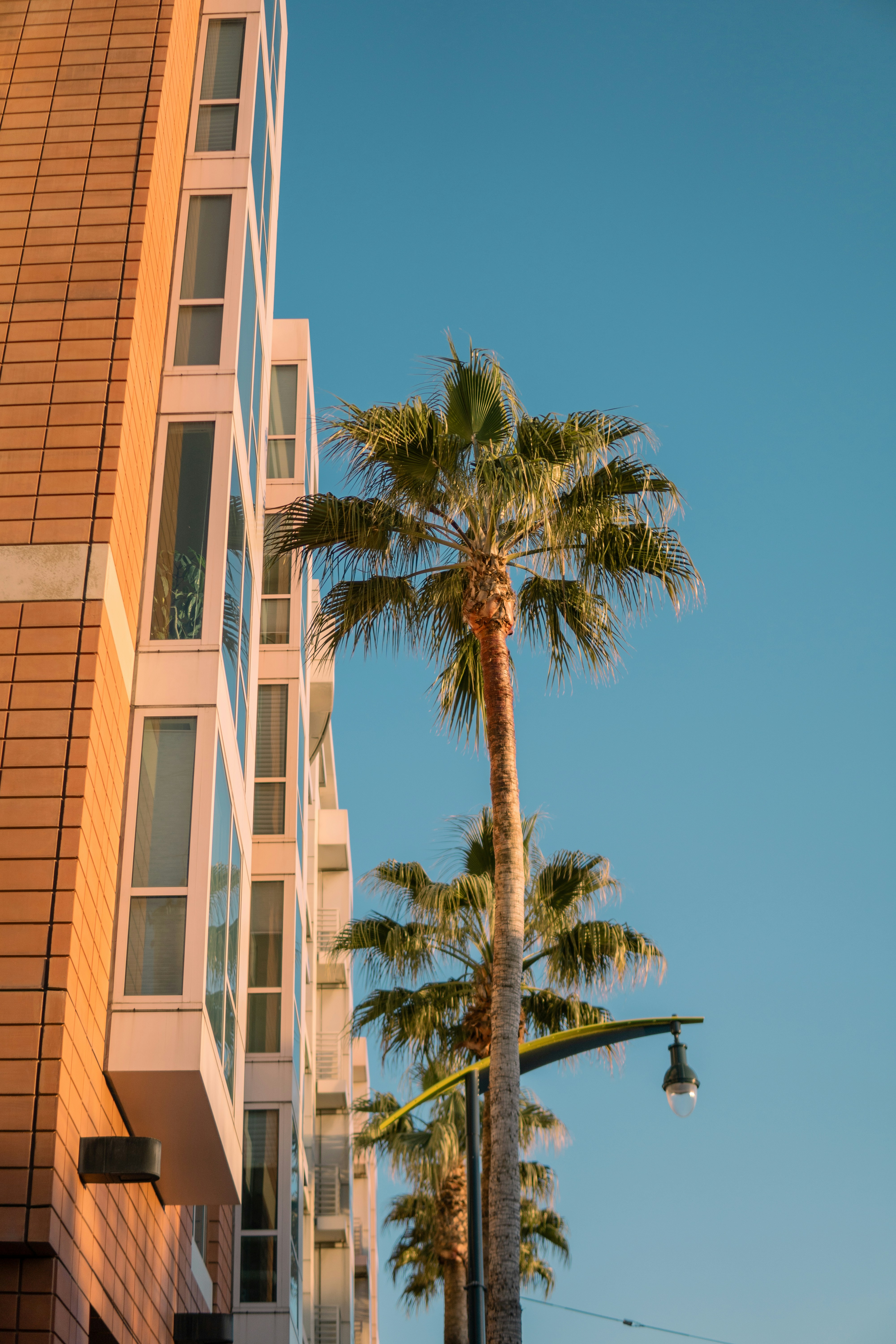 Photo by nadineshaabana