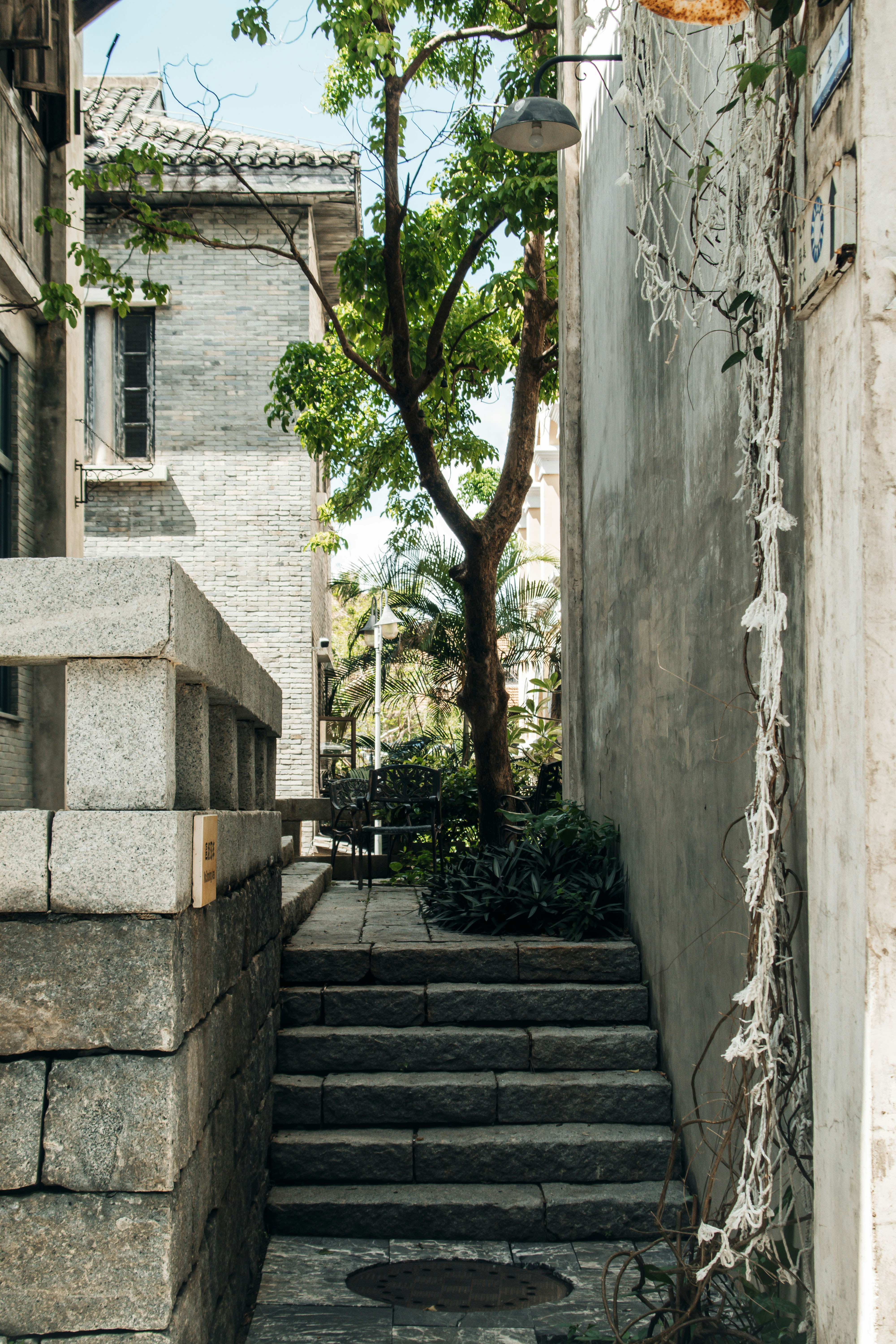 Photo by yokonoito0512