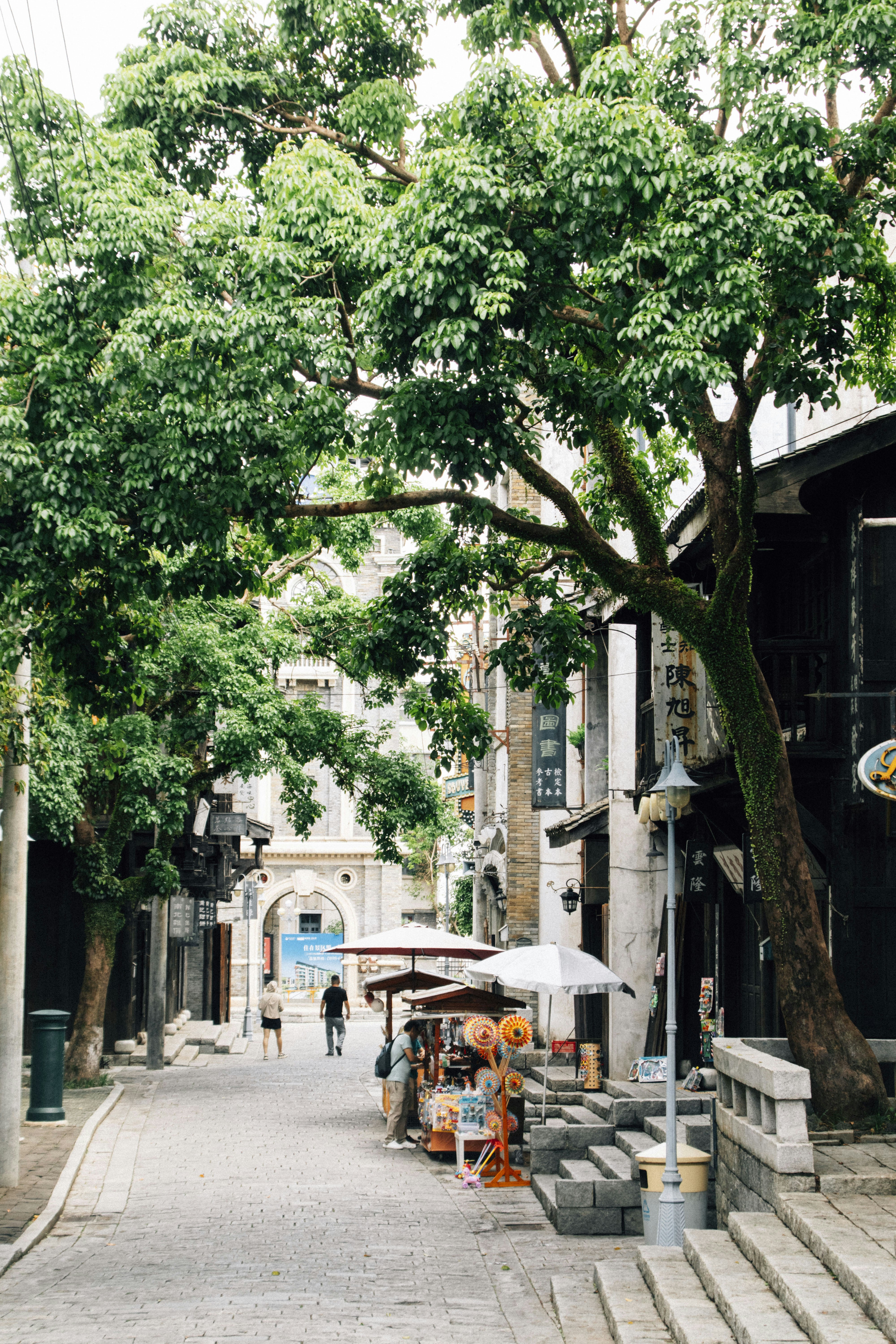 Photo by yokonoito0512