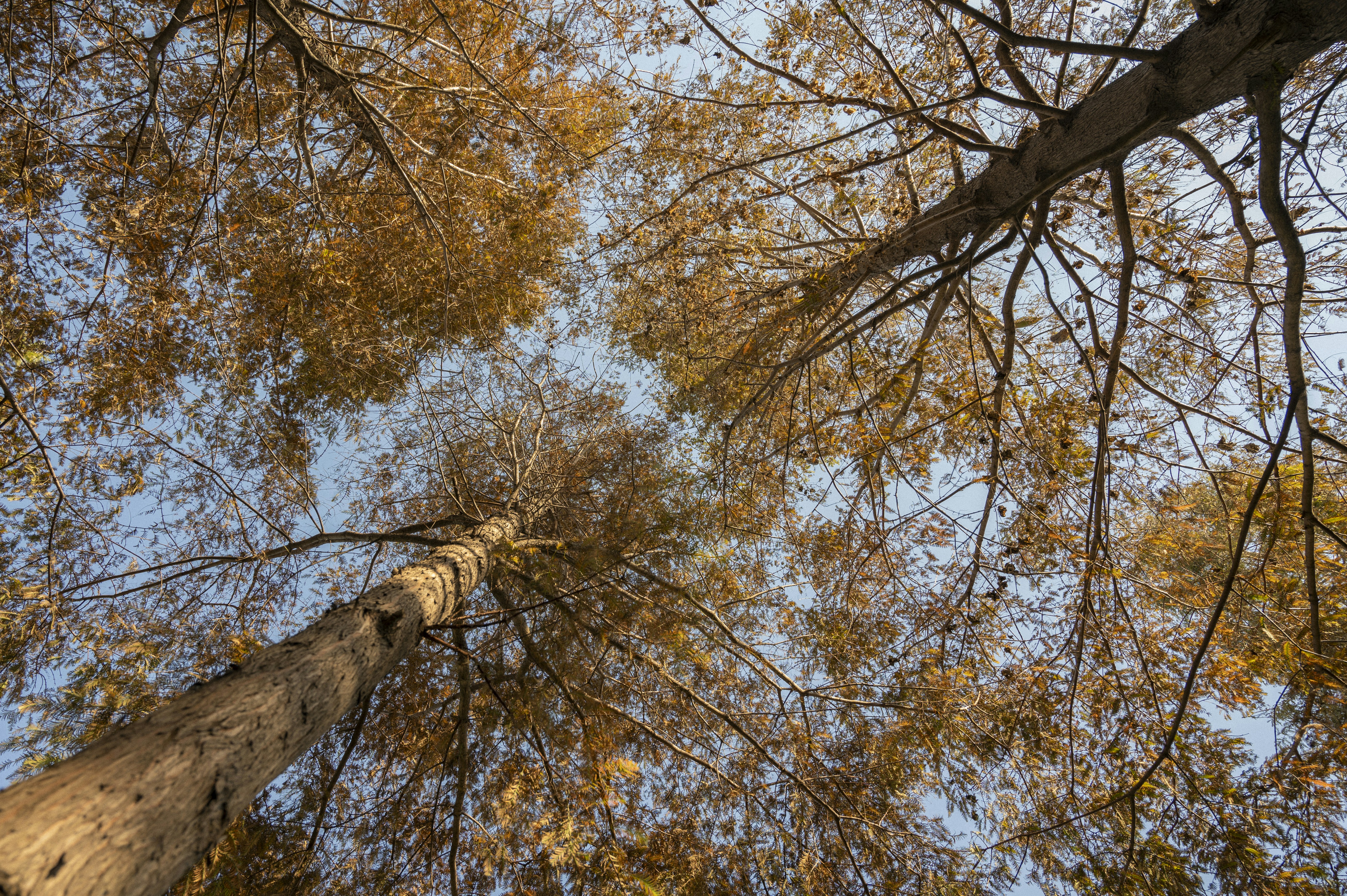 Photo by broccoli8023