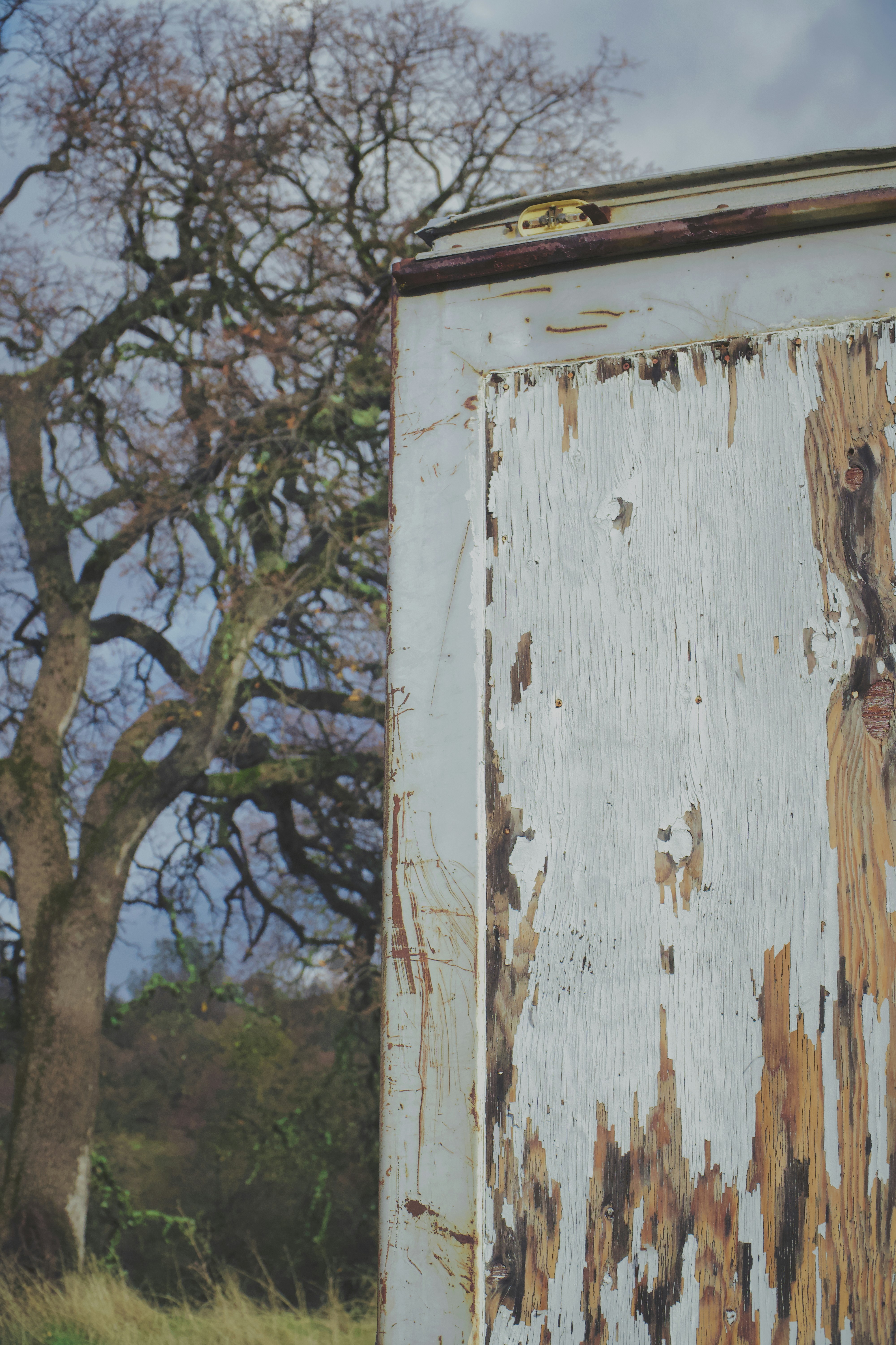 Photo by spencer_demera