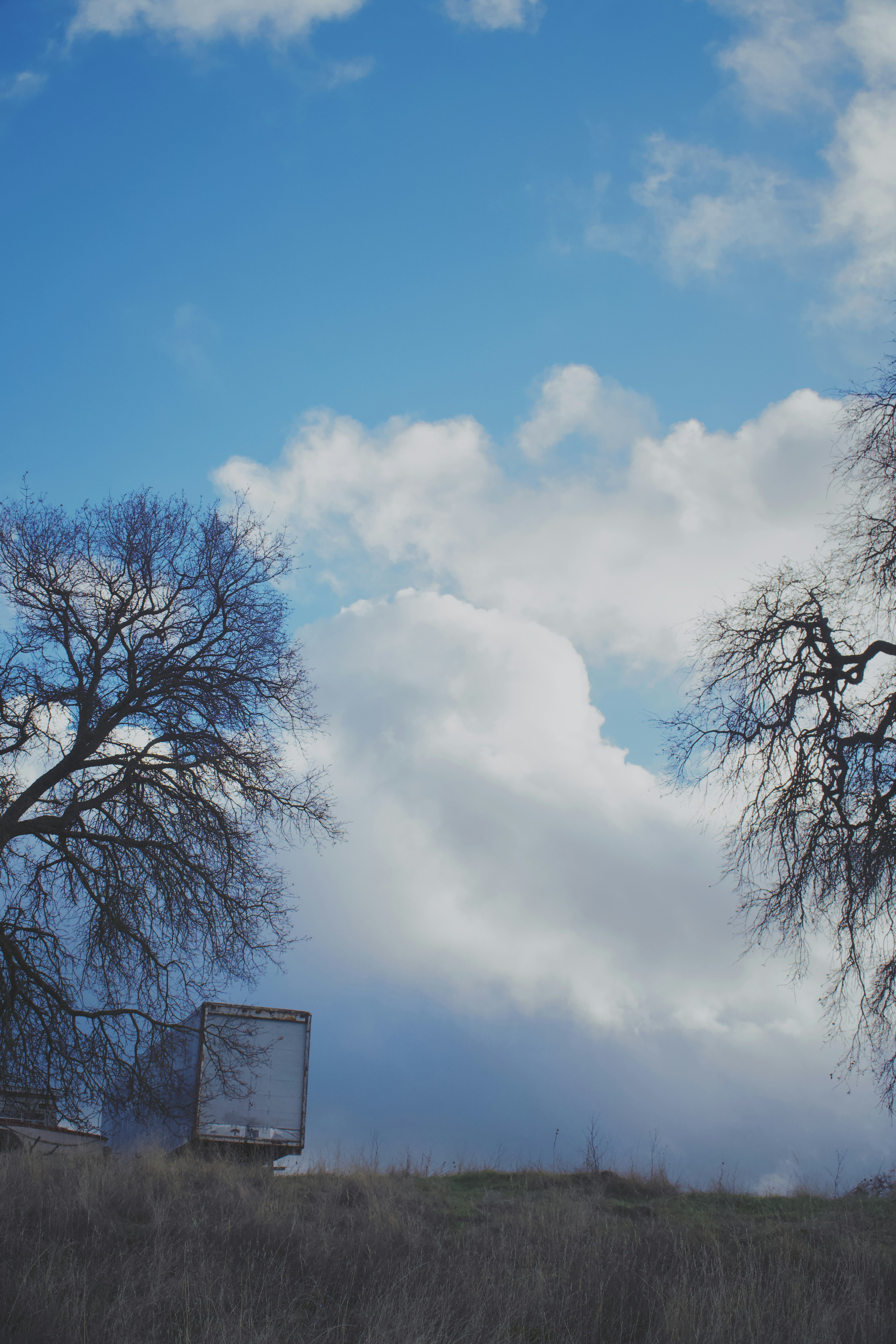 Photo by spencer_demera