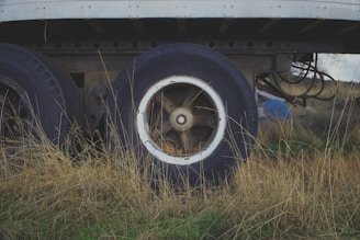 An old truck is sitting in the grass