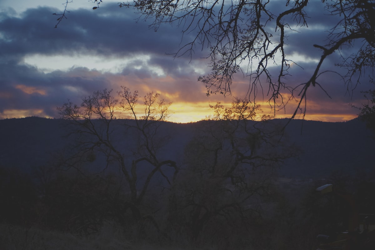 Sierra Foothills sunset over oak trees and rolling hills near Nevada County California