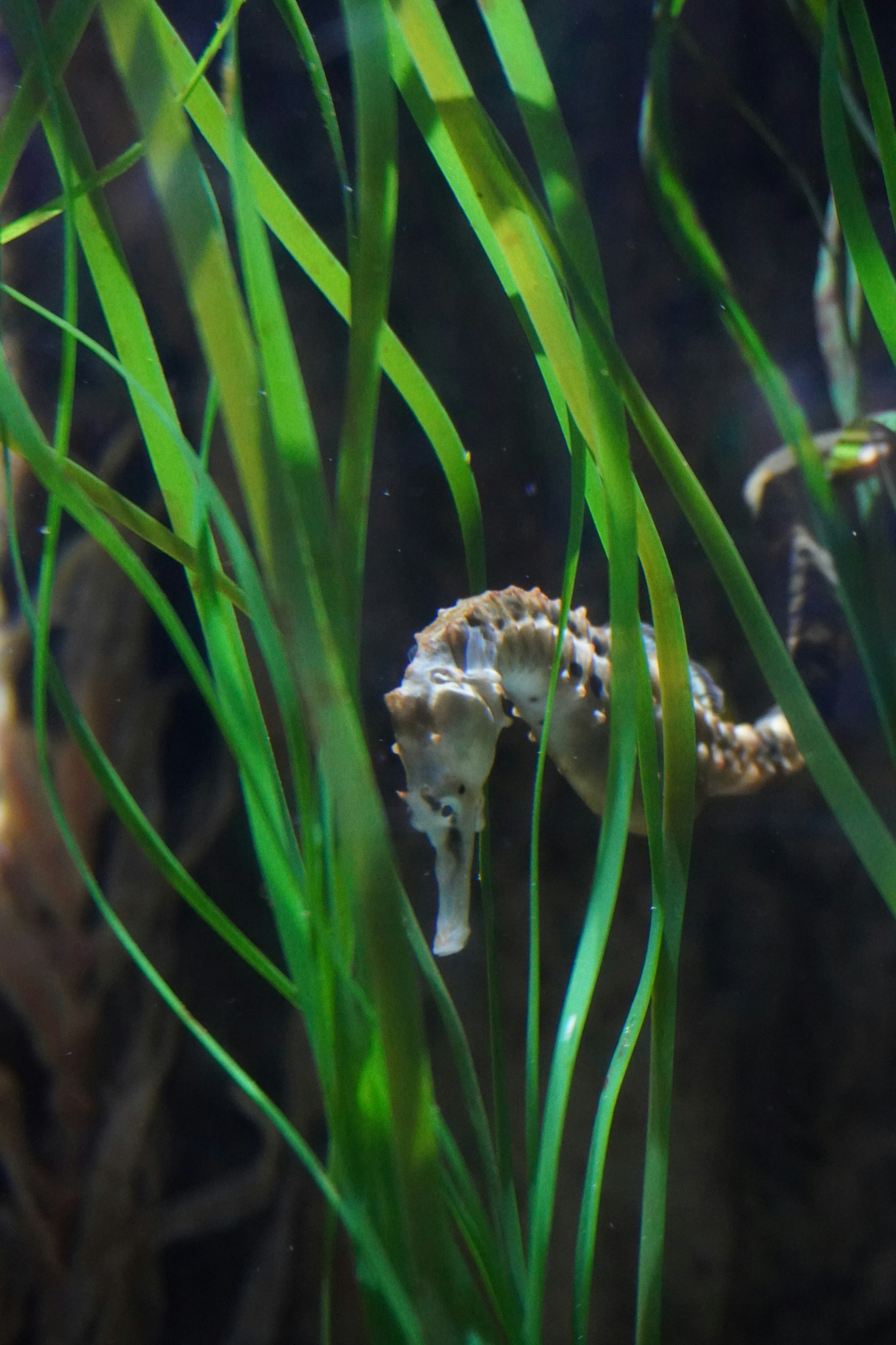 Photo by cherrymacherie