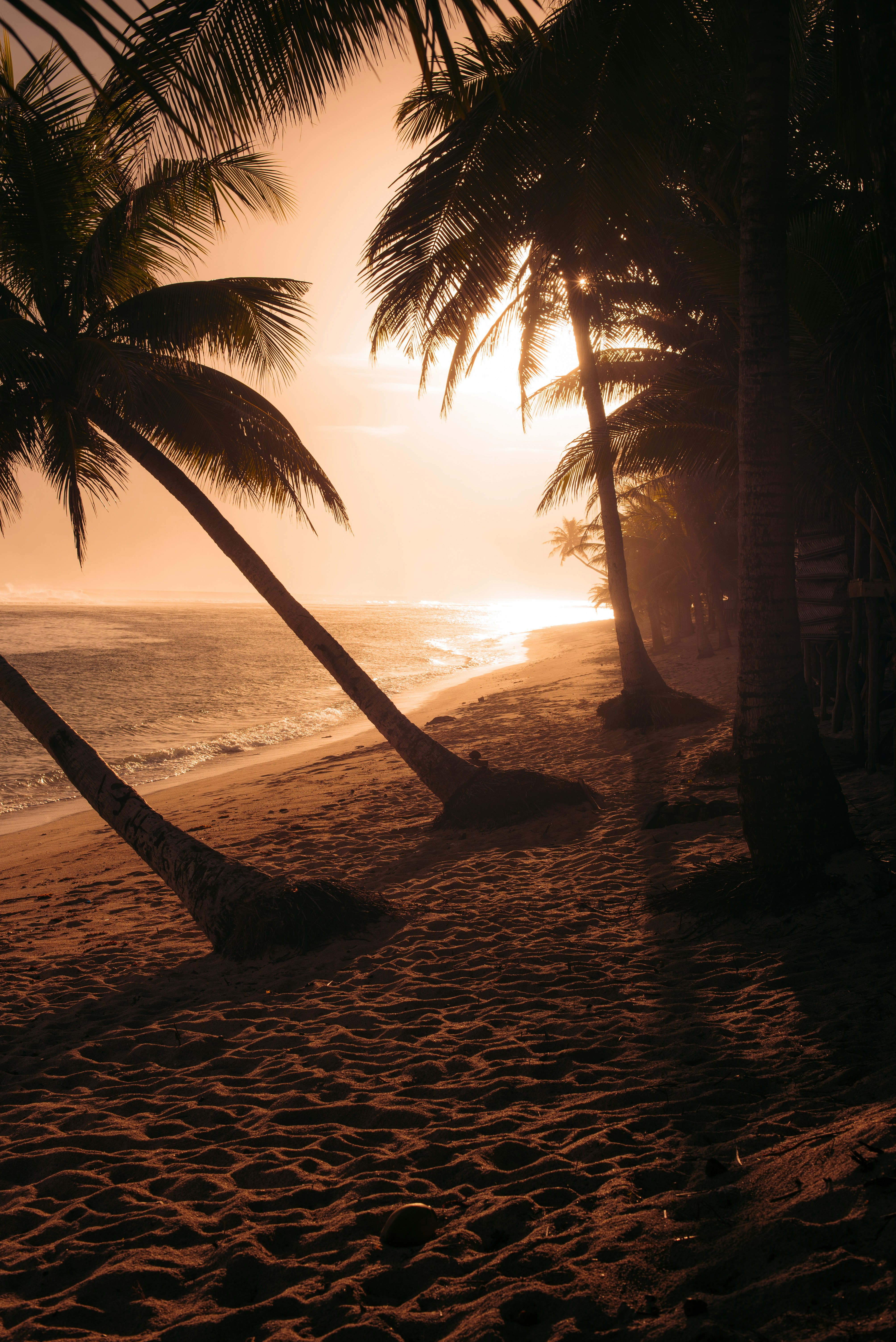 Photo by niktravelstheworld