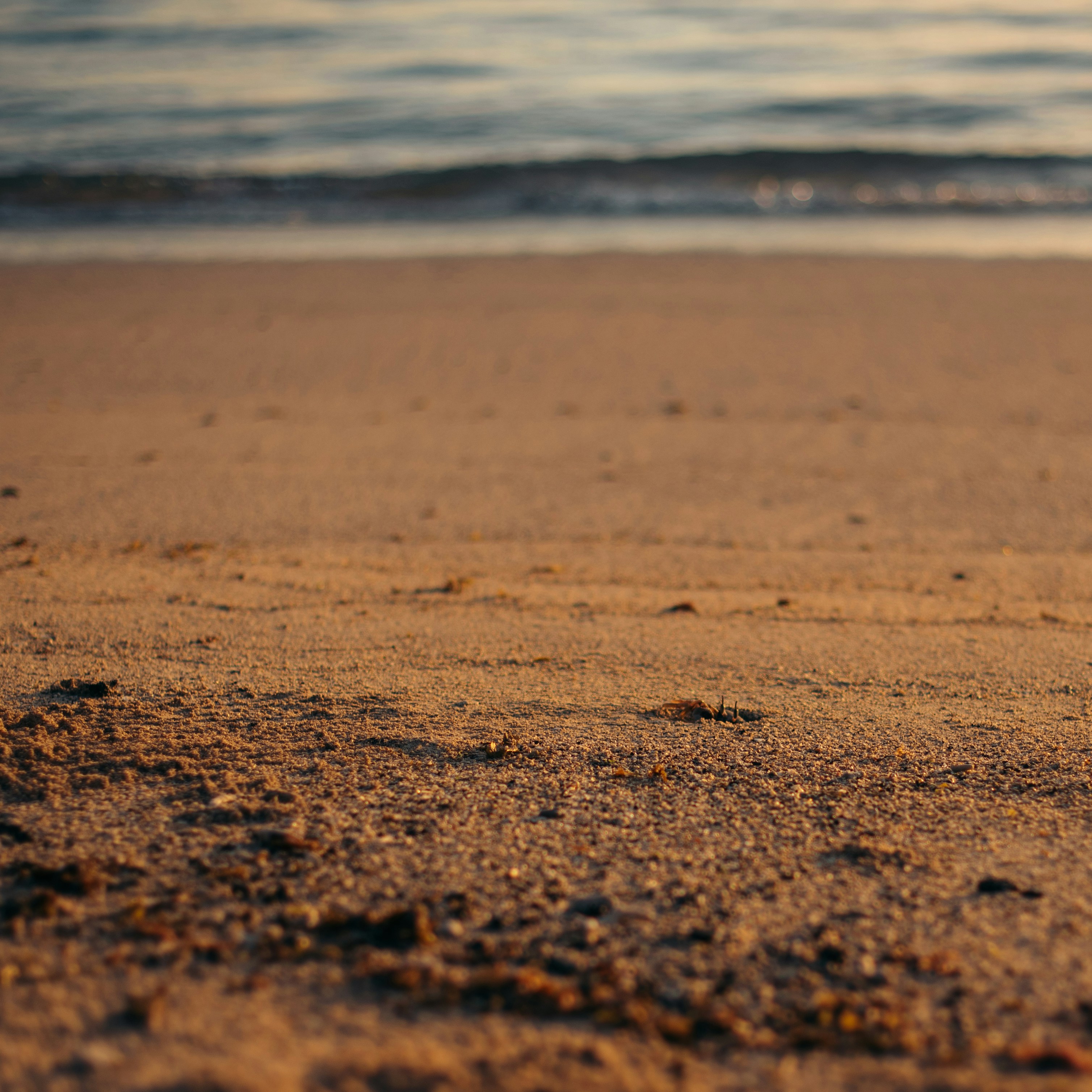 Photo by niktravelstheworld