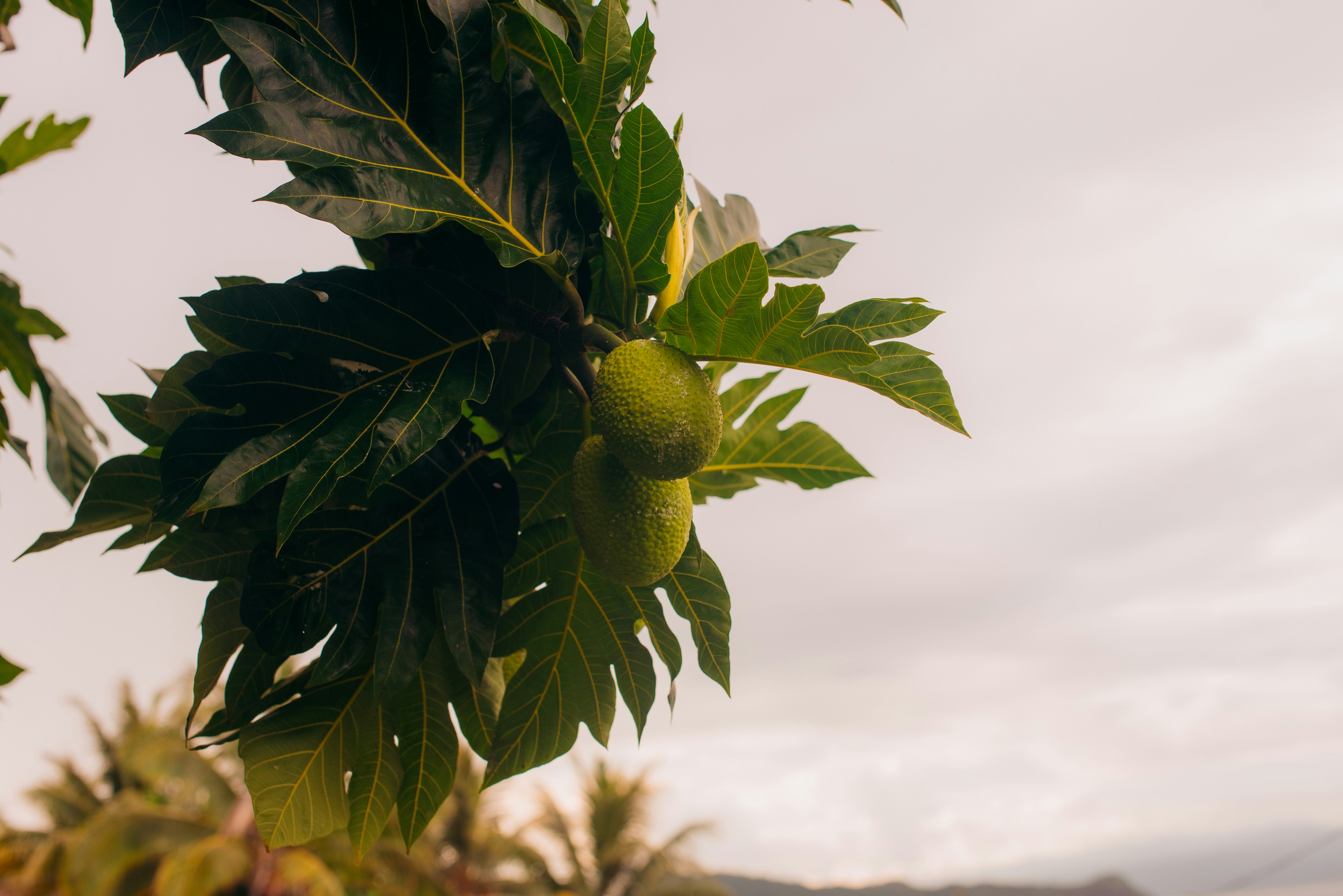 Photo by niktravelstheworld