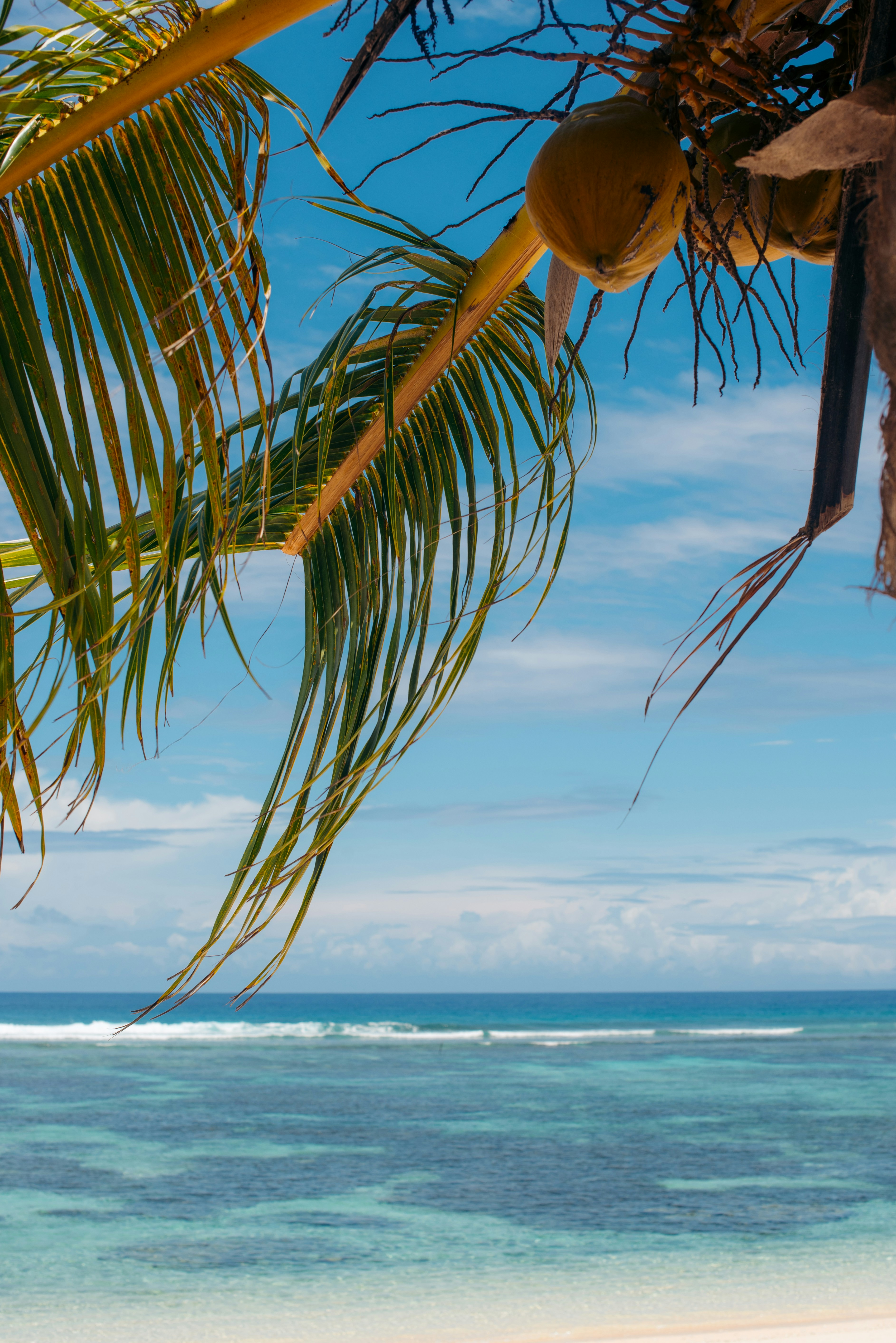 Photo by niktravelstheworld