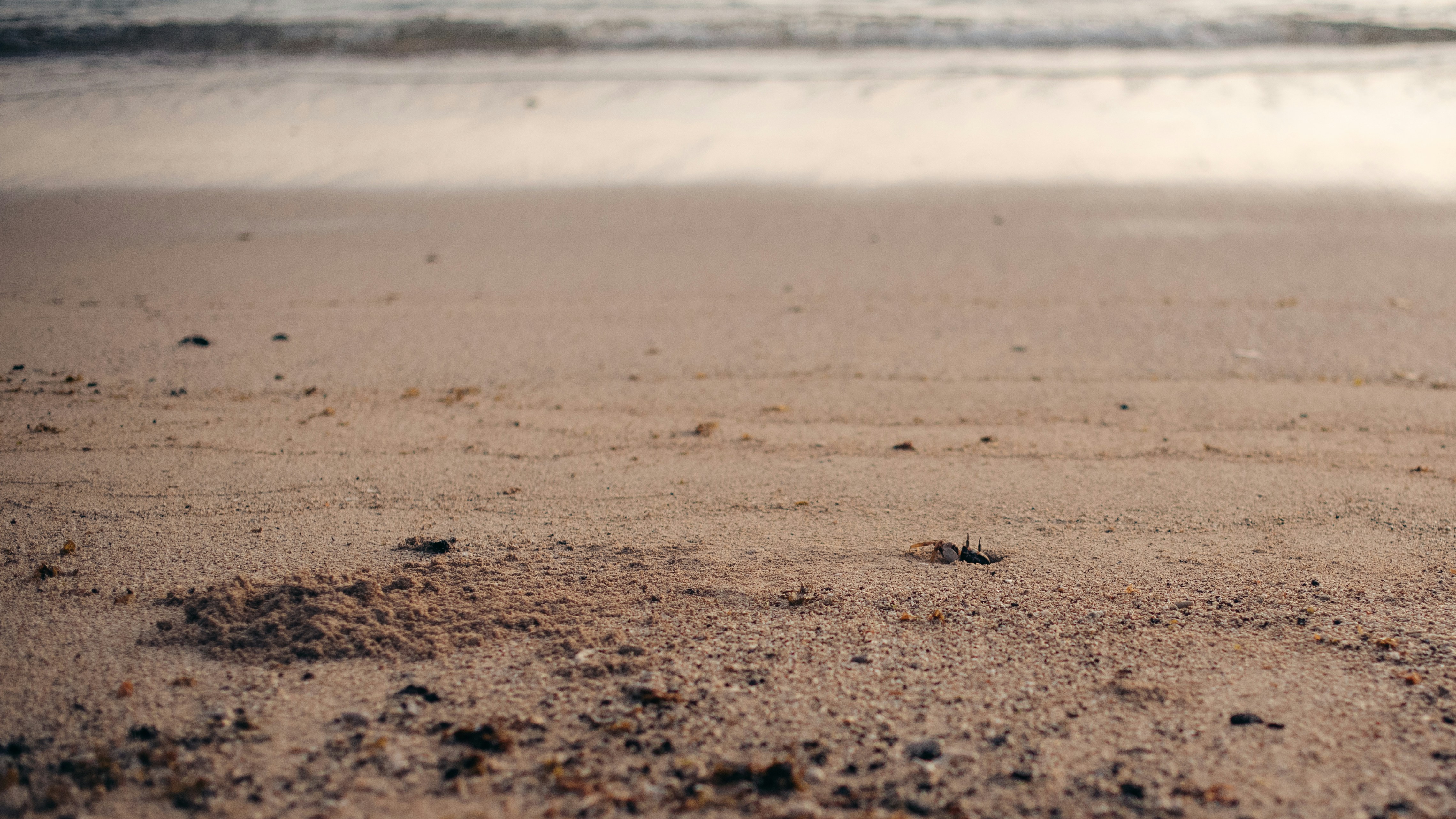 Photo by niktravelstheworld