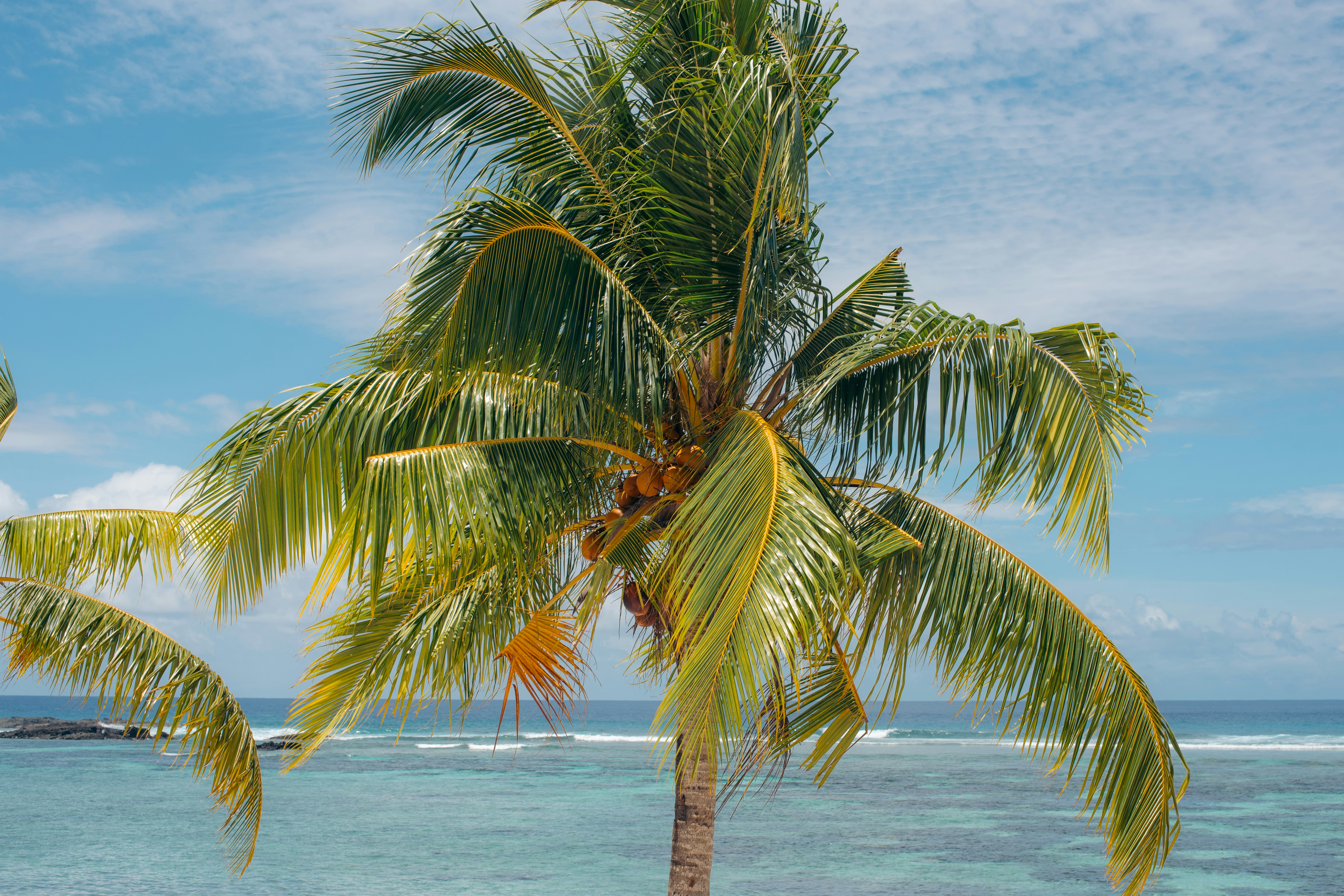 Photo by niktravelstheworld