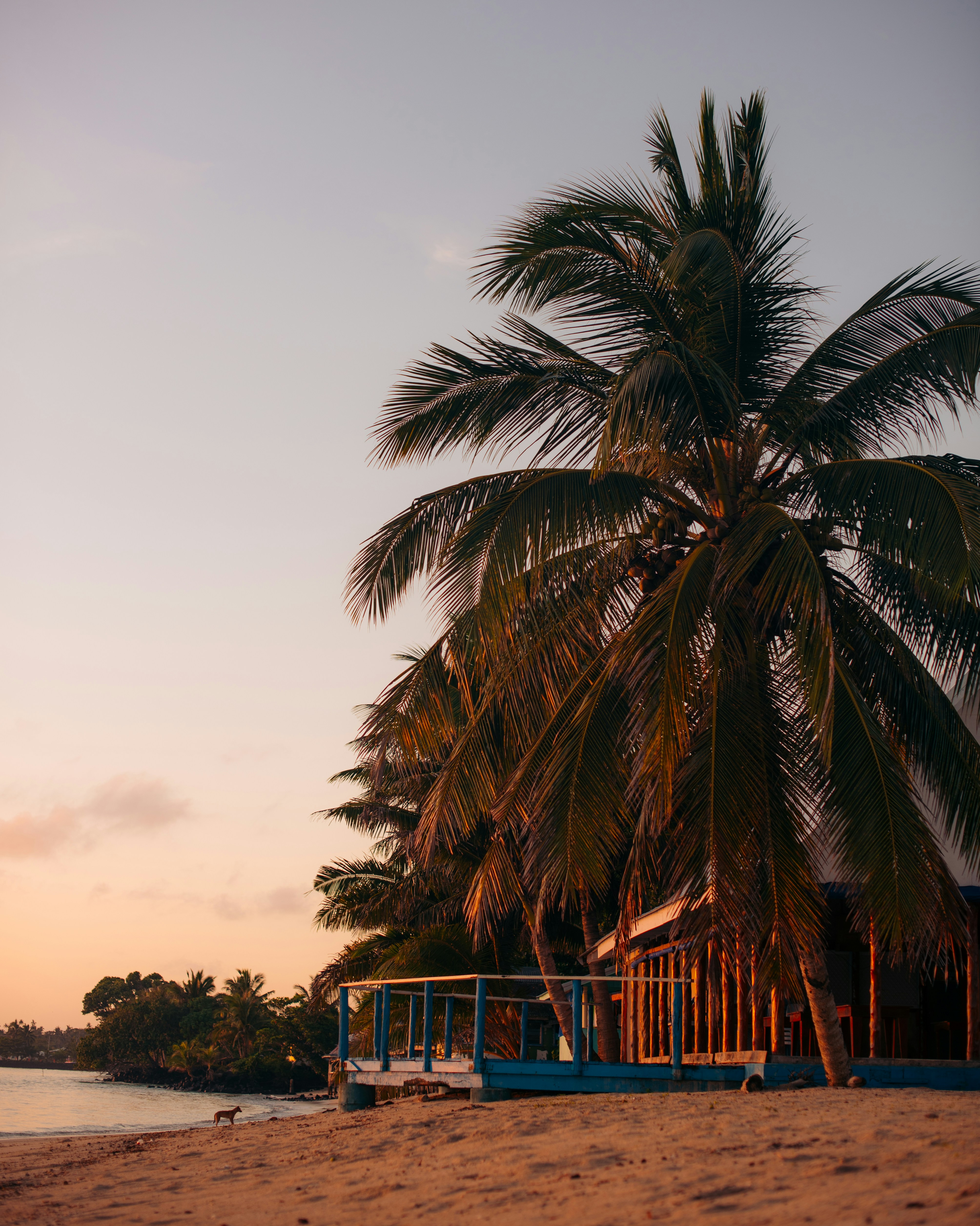 Photo by niktravelstheworld