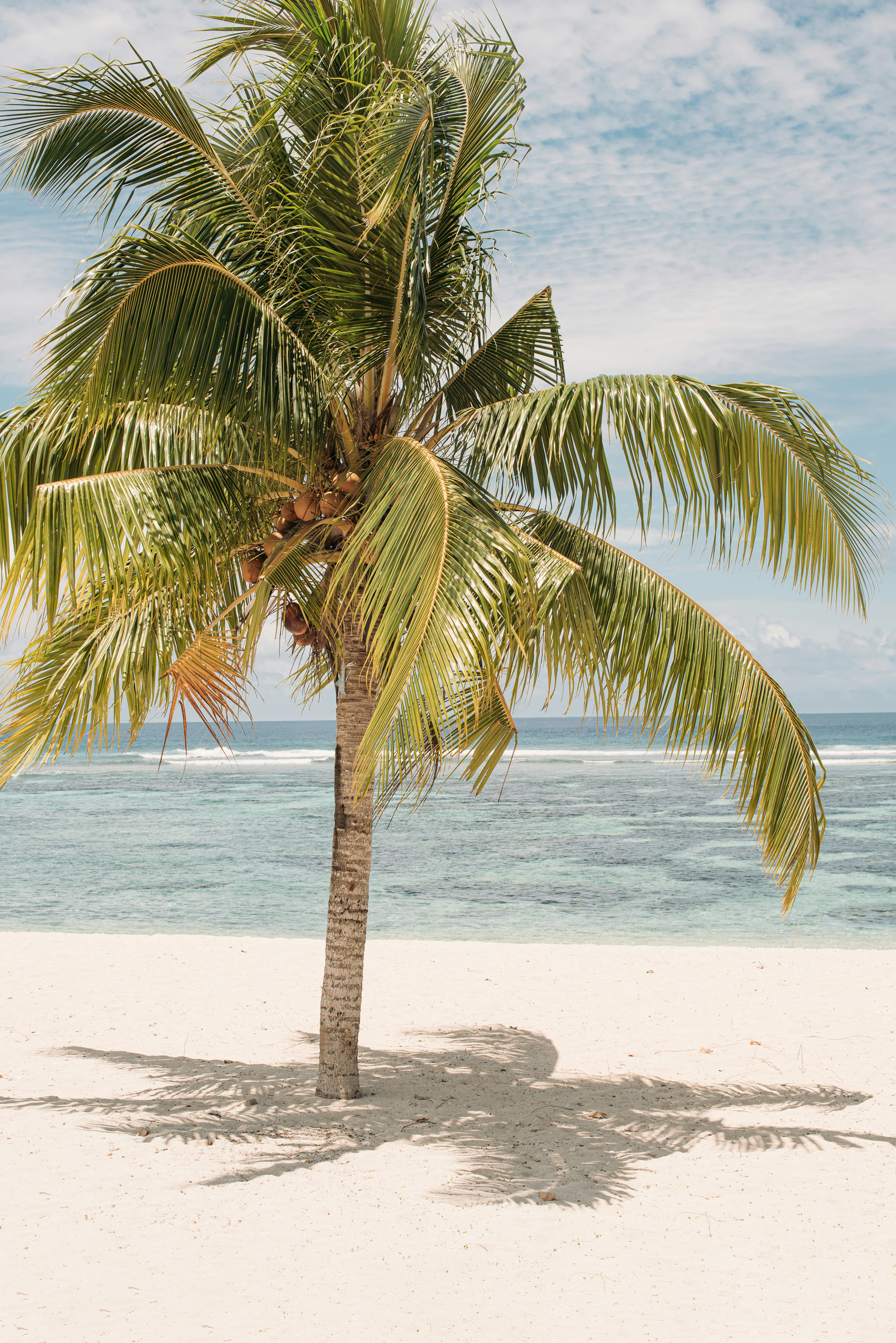 Photo by niktravelstheworld