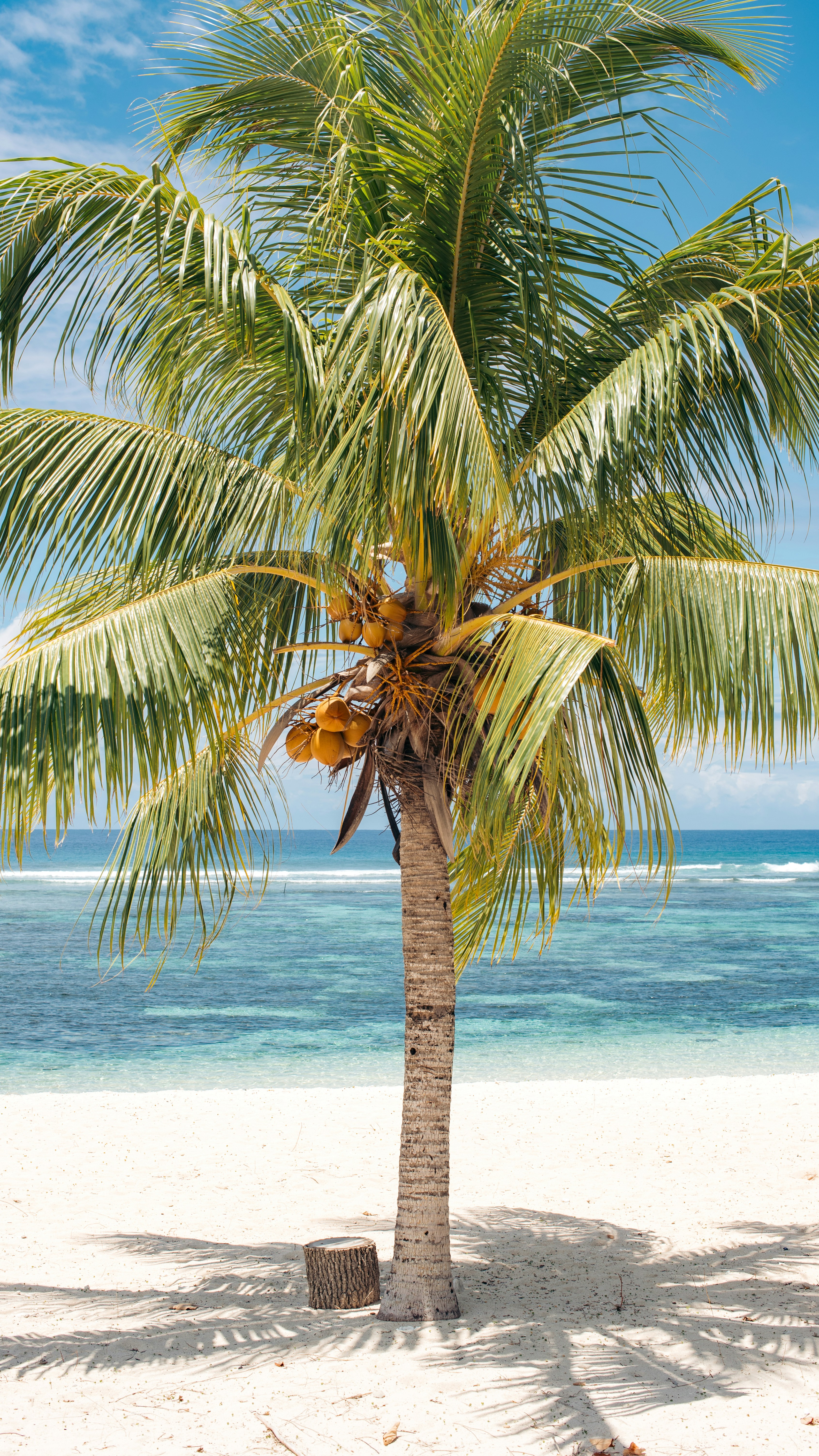 Photo by niktravelstheworld