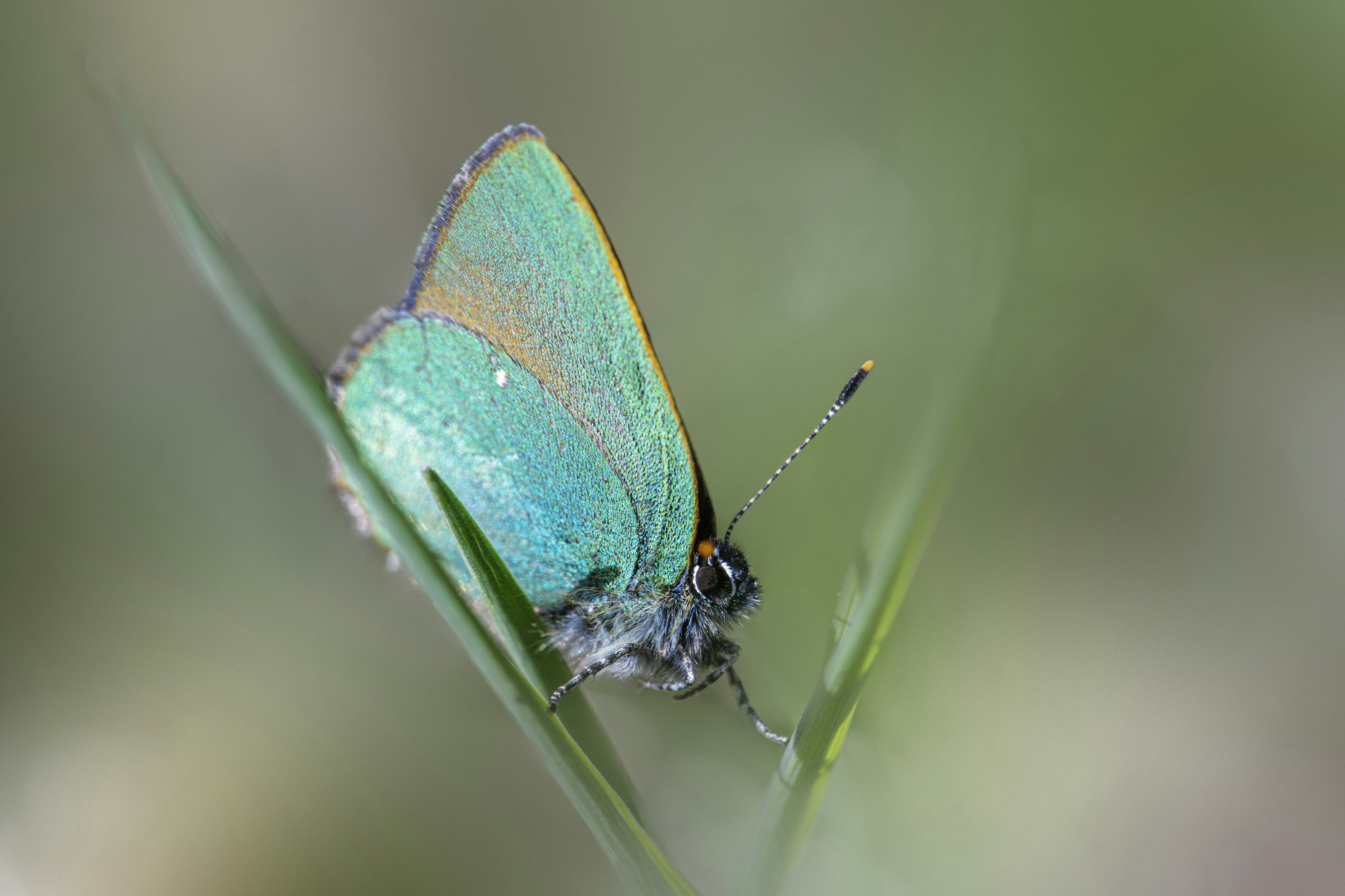 Photo by erik_karits