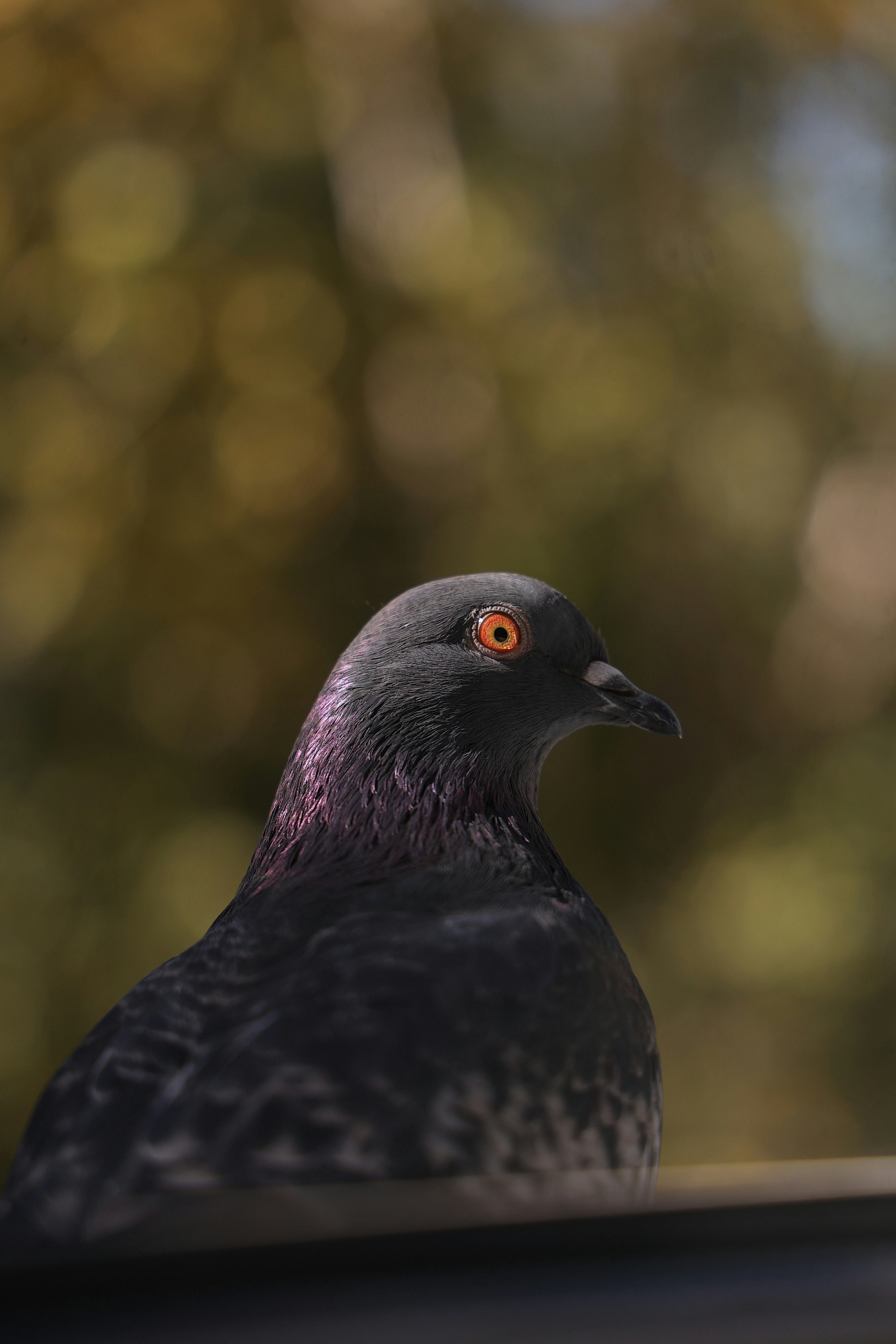 Photo by larisarunova