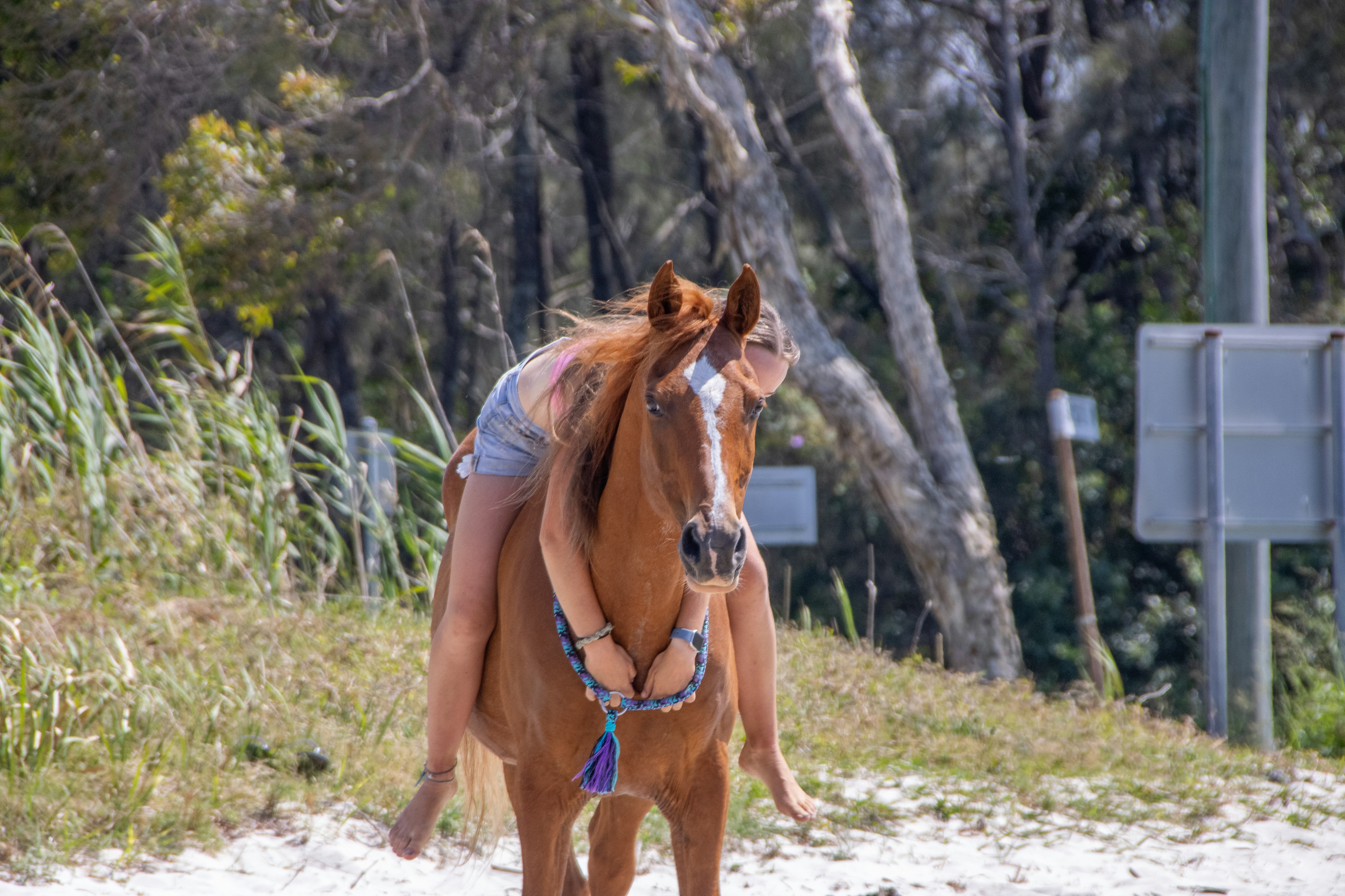 A woman is riding a horse on the beach