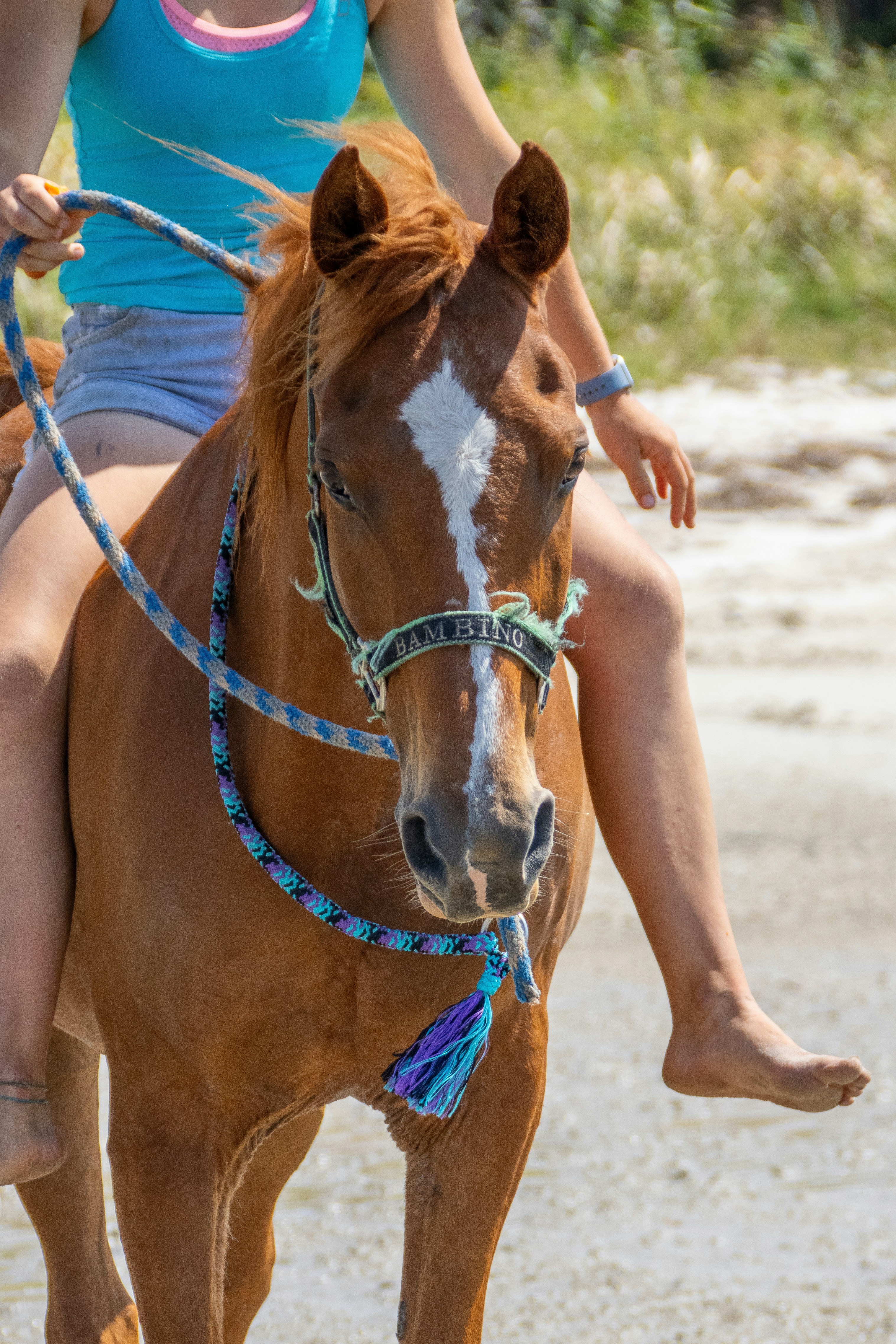 A woman riding on the back of a brown horse