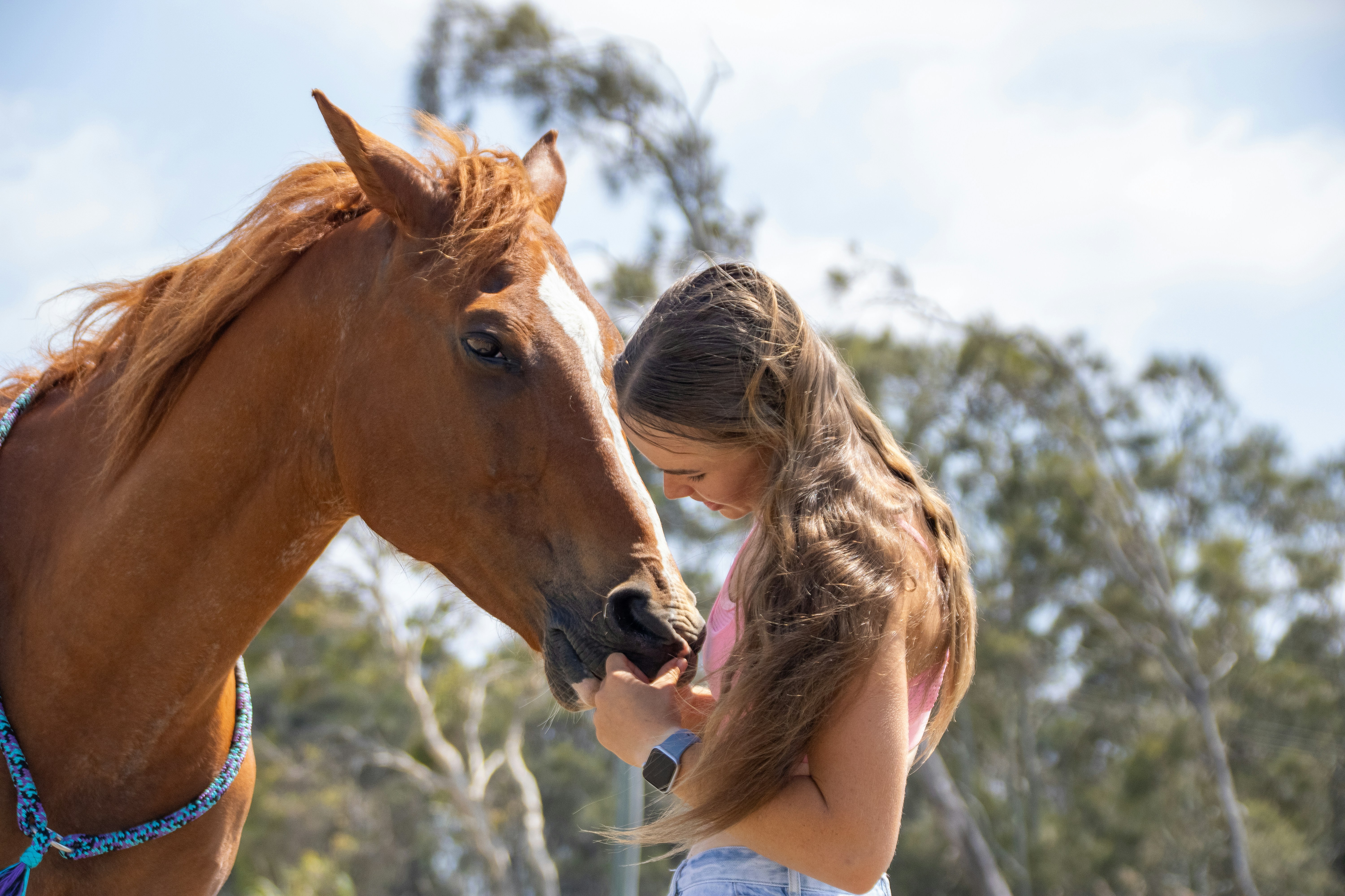 Two young girls petting a horse on the nose