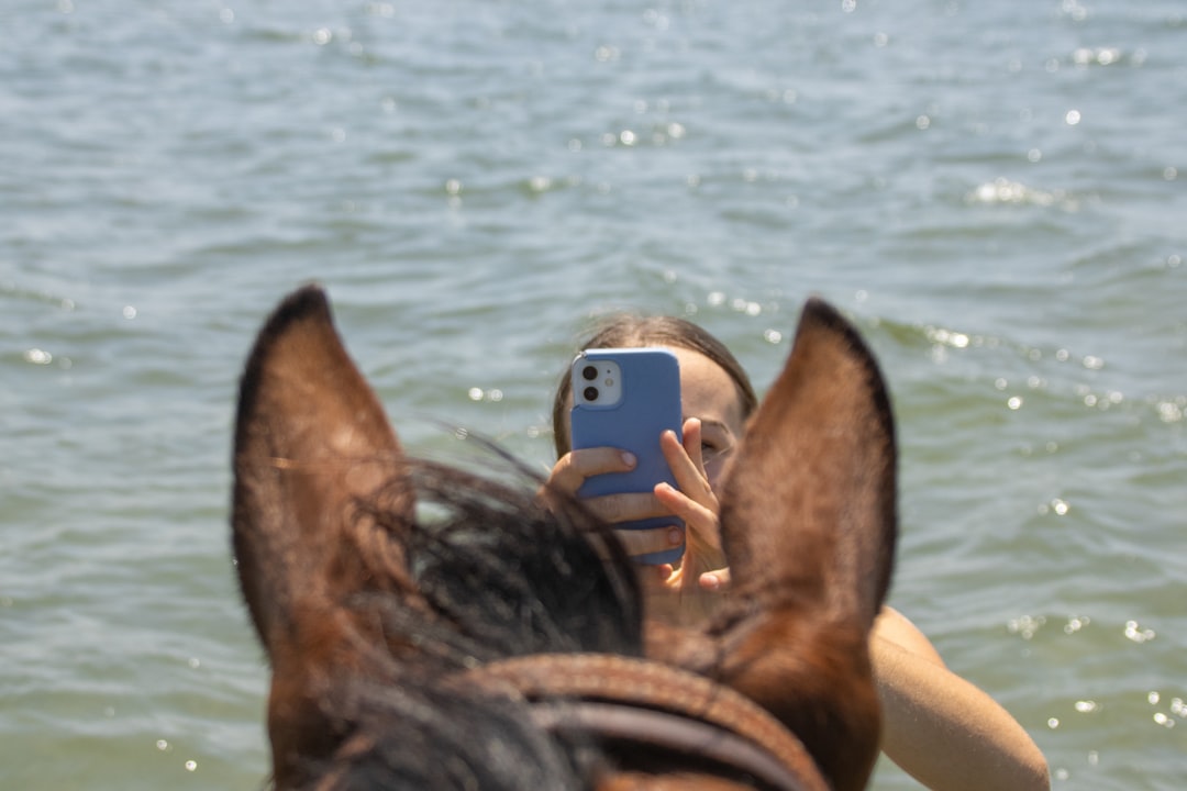 A person taking a picture of a horse in the water,